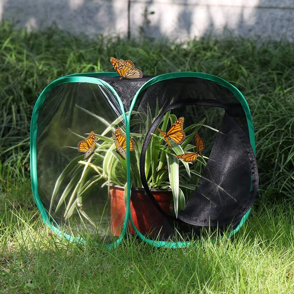 RESTCLOUD Insetto e Farfalla Habitat Cage Terrarium Pop-up 32 x 30 x 30 cm