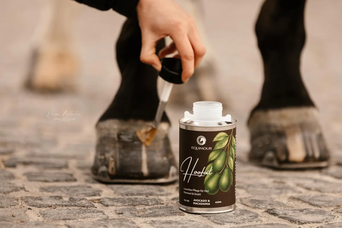 Olio di zoccolo con pennello per cavalli – Avocado & Macadamia – Cura degli zoccoli con vitamina E – per zoccolo, bordo della corona & fascio – lucentezza naturale & aspetto curato – 450 ml