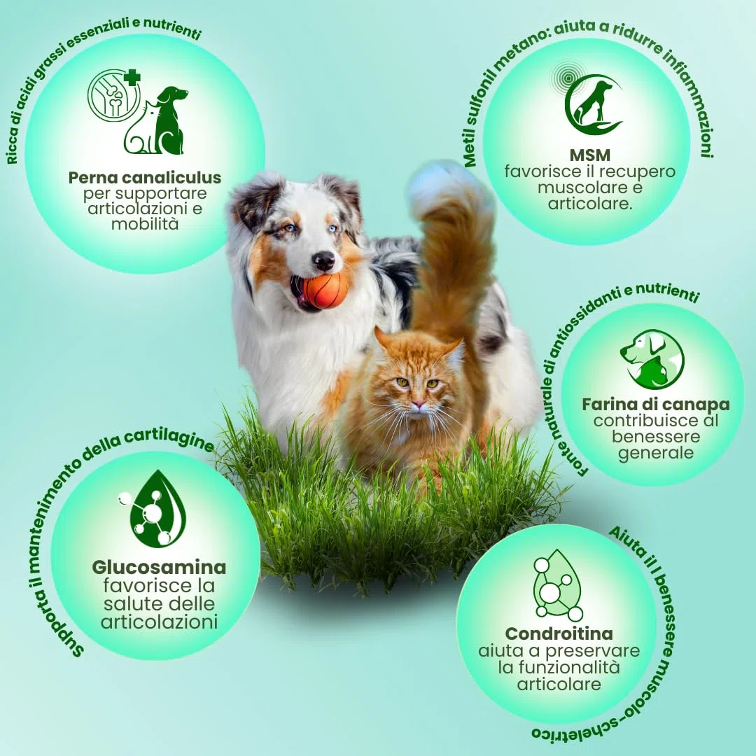 CAMON | Canahelp Compresse, Alimento Complementare per Cani e Gatti, Supporta la Crescita e il Mantenimento in Salute dell'Organismo, 225 Compresse da 180g