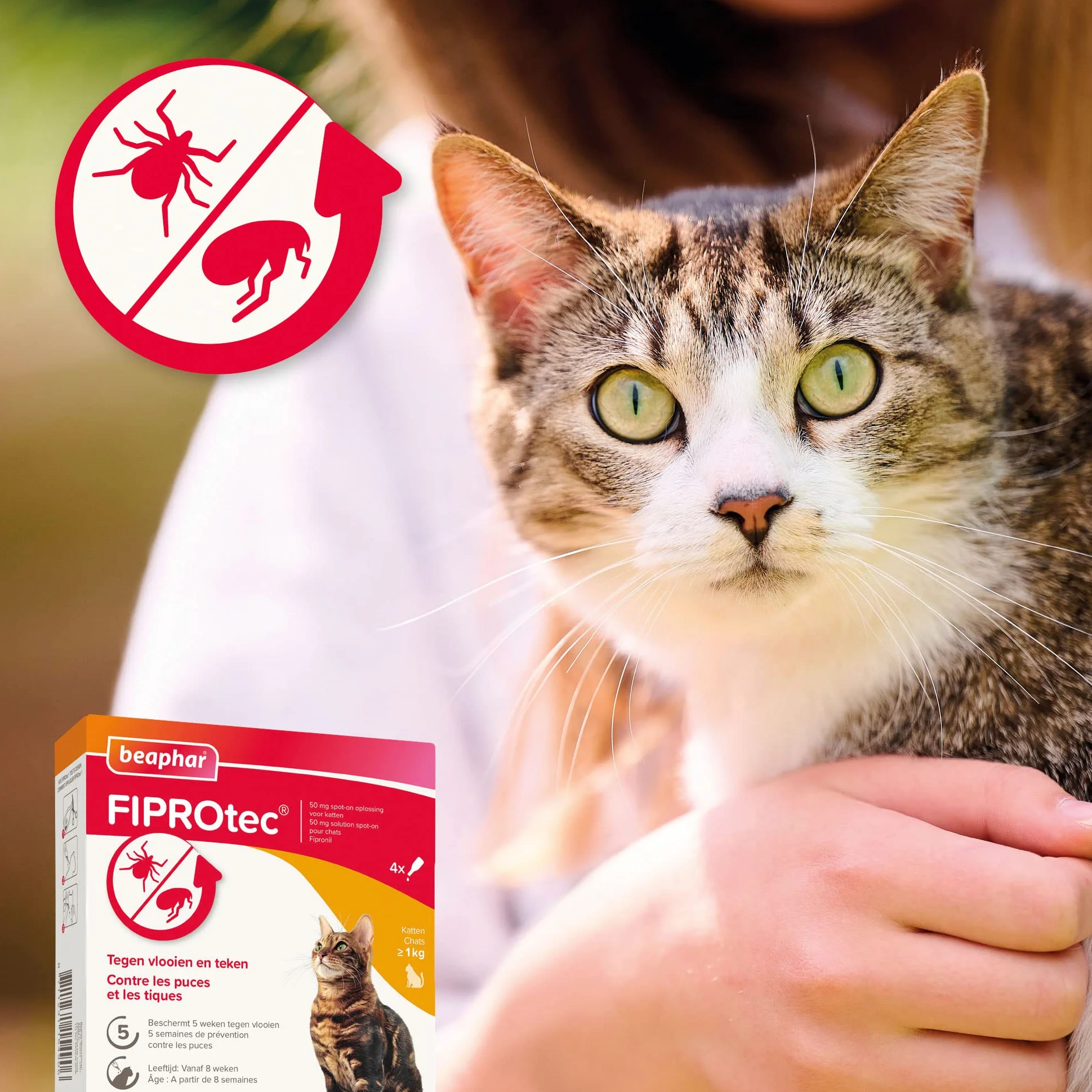 Beaphar FIPROtec Cat