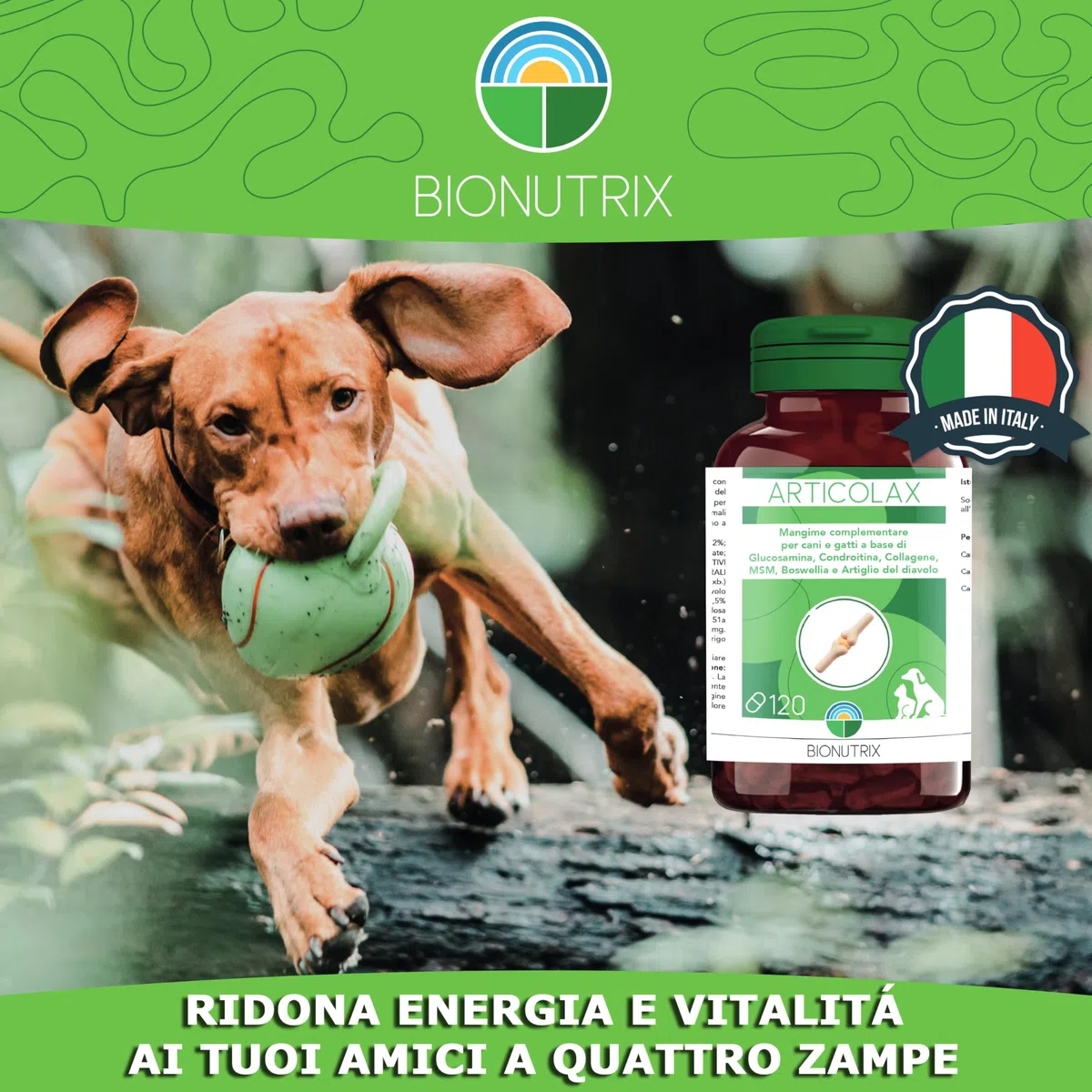 ARTICOLAX | Integratore Articolazioni Cane e Gatto | 120 CPR Appetibili | Alto Dosaggio | Antinfiammatorio | Glucosamina, Condroitina, Collagene, MSM, Boswellia e Artiglio del Diavolo | BioNutrix ®