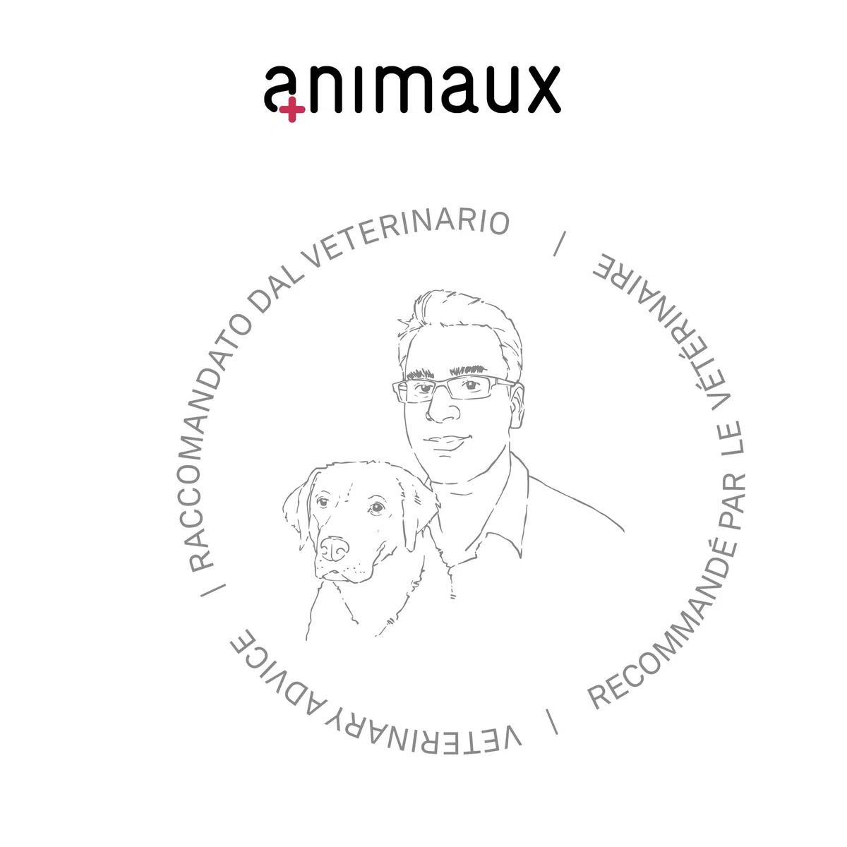 animaux In Motion Cats - Integratore Alimentare per Gatti per Ossa, articolazioni e cartilagini - 60 compresse masticabili - con cozza dalle Labbra Verdi, Artiglio del Diavolo collagene