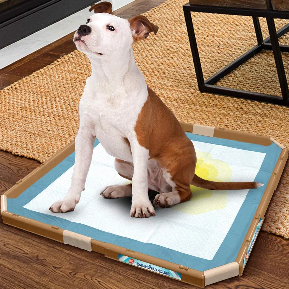 Simple Solution Supporto per cani, vassoio portatile per addestrare animali domestici e cuccioli, 53 x 53 cm, Beige
