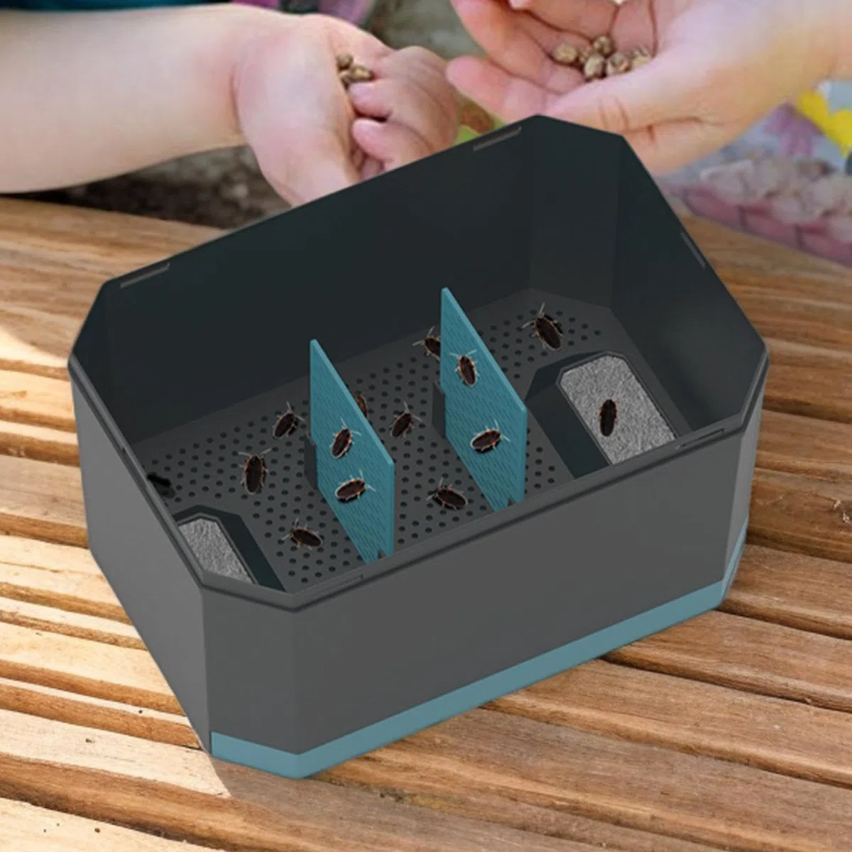 JINGLING Cockroach Feeder, Rettile Feeder Box, Scatola di schiusa di Serpente di Viaggio, Animali Rettili Habitat, Gabbia di Trasporto Tartarughe, Case di Riproduzione Animali Traspiranti per Drago