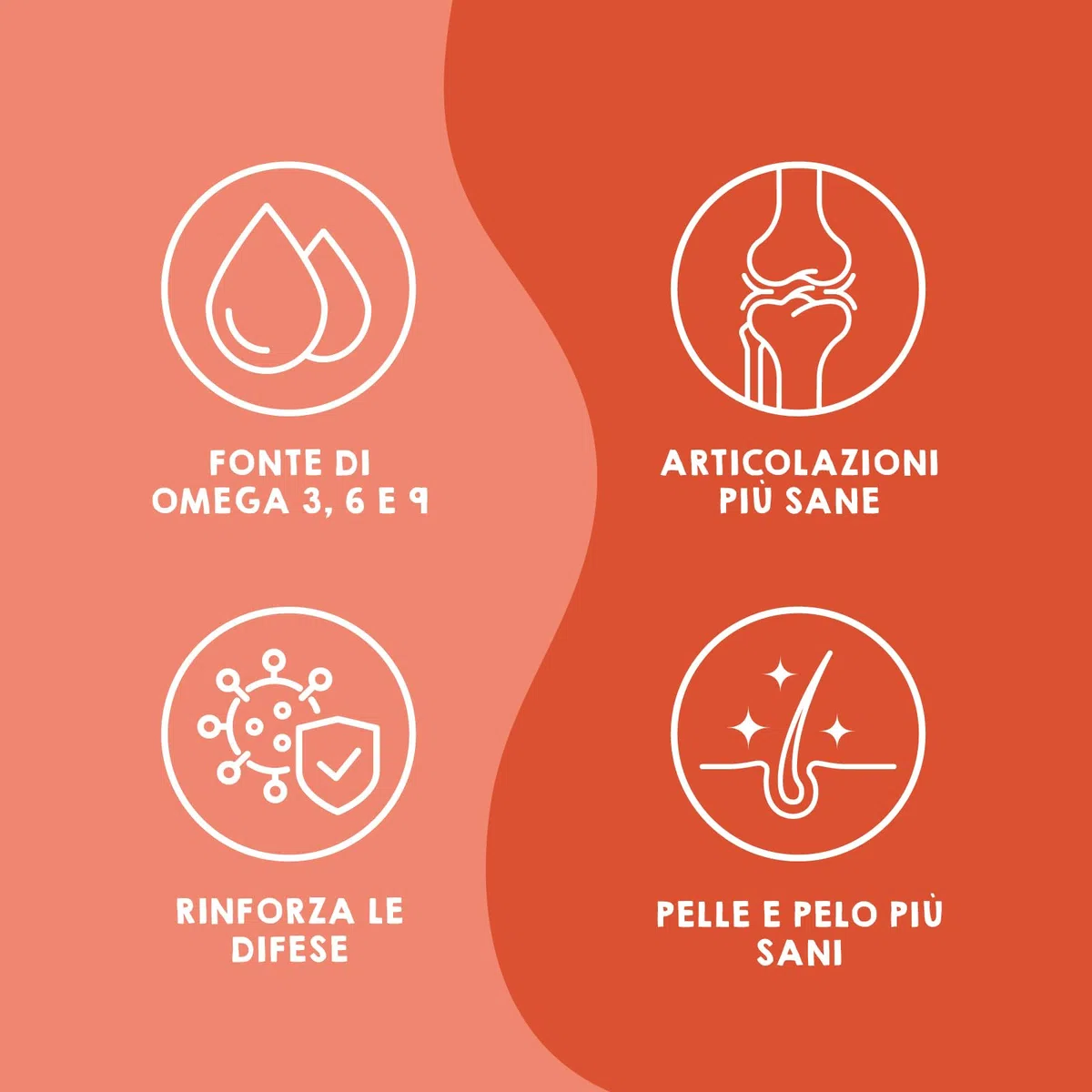 MAIKAI Olio di Salmone per Cani e Gatti 100% Naturale Norvegese 1LRicco di Omega 3 6 e 9 Migliora Pelle e Pelo - Supporta Articolazioni e Sistema Immunitario - Appetizzante Naturale per Animali