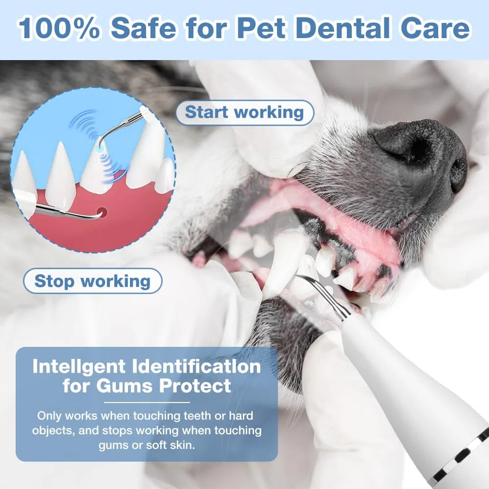 Aomig Kit di Pulizia dei Denti per Animali Domestic, Kit Pulizia Denti Cane per Tartaro e Macchie, Spazzolino Ultrasuoni Cane con Luce LED, 5 Modalità di Pulizia, Kit Rimuovere Macchie di Denti
