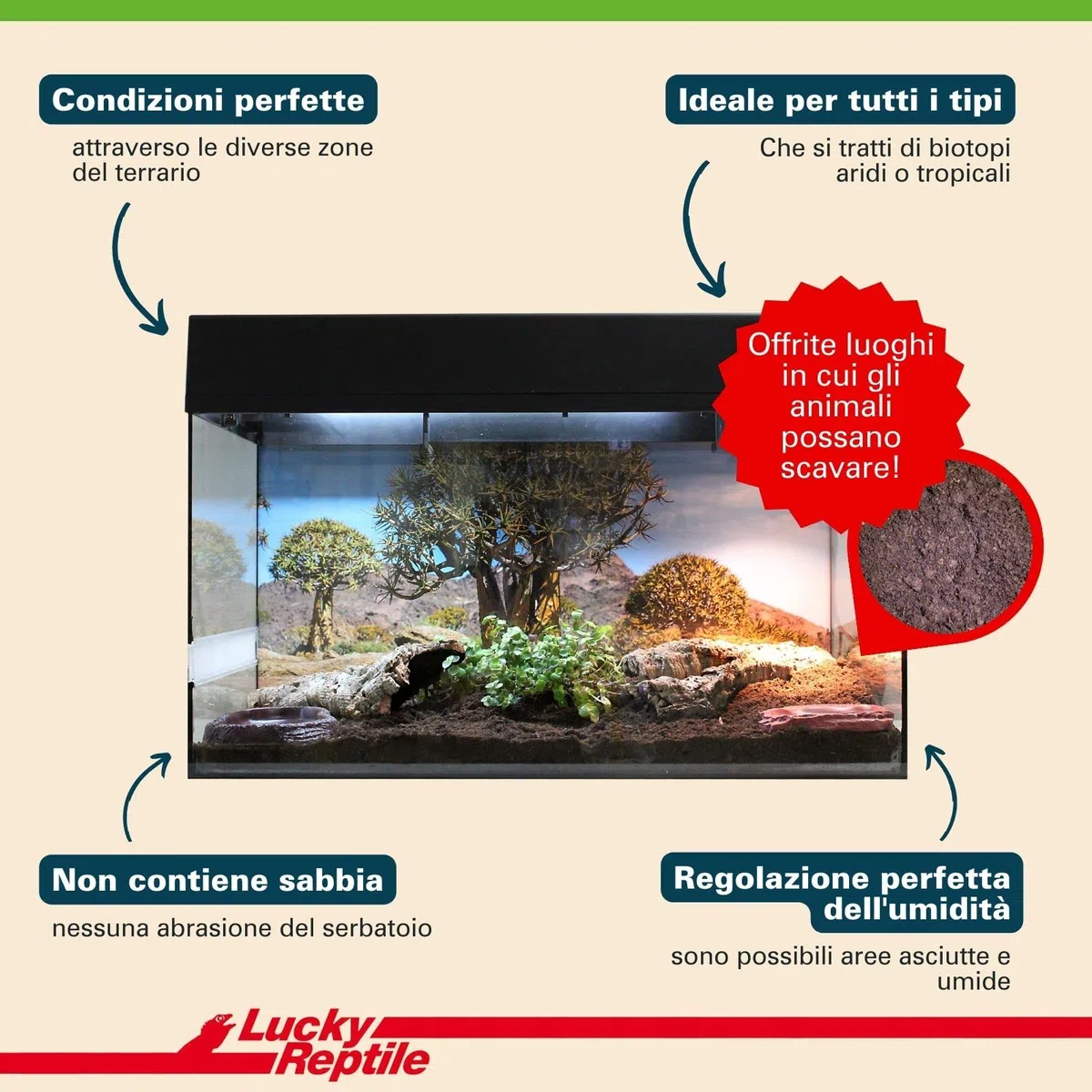 Lucky Reptile 65131 - Terriccio di substrato per tartarughe da terra, 20 litri, Pesca, Brown