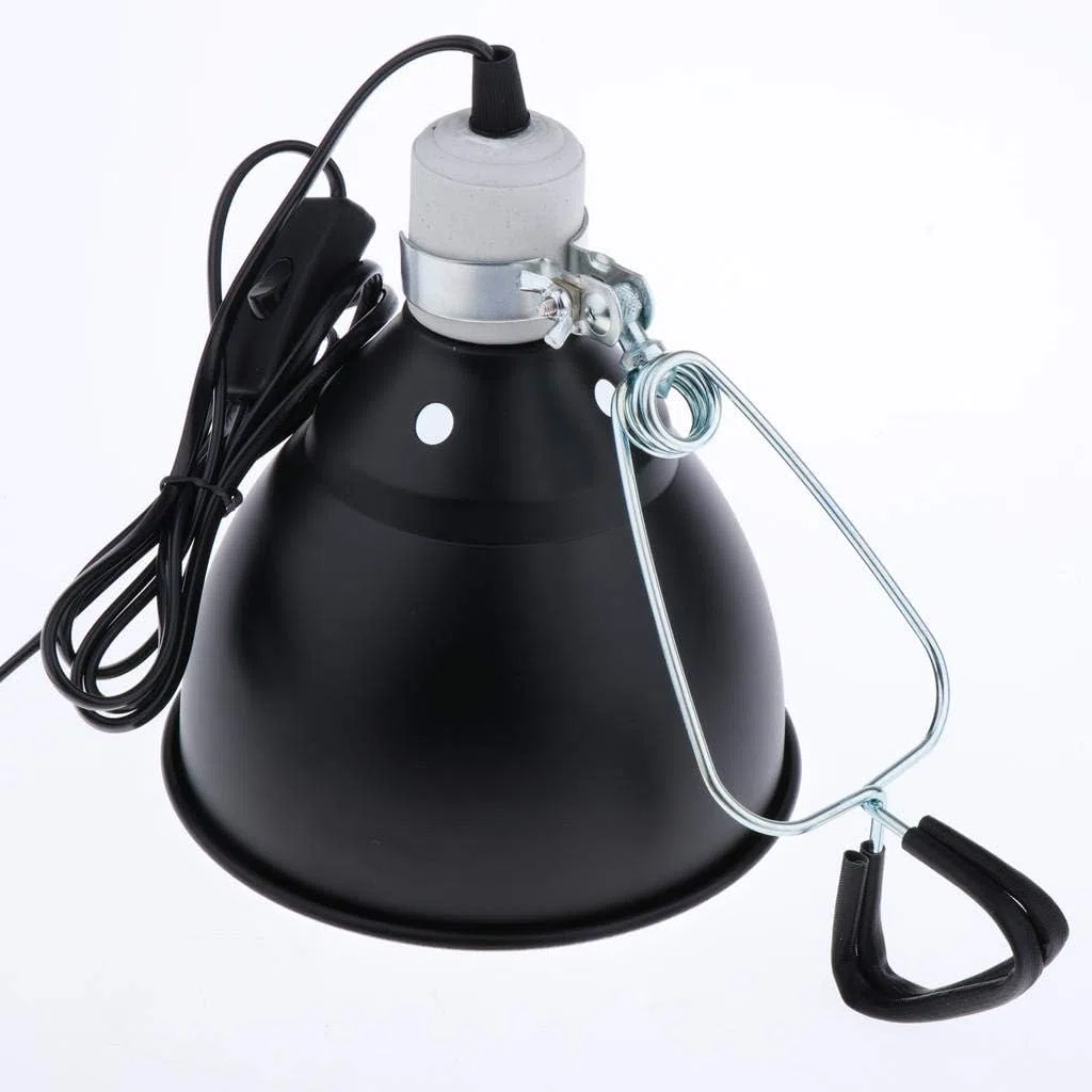 POFET E27 rettile tartaruga calore UVA/UVB lampadina lampada portalampada, faro di riscaldamento rettile 300W per pollo Brooder crogiolamento