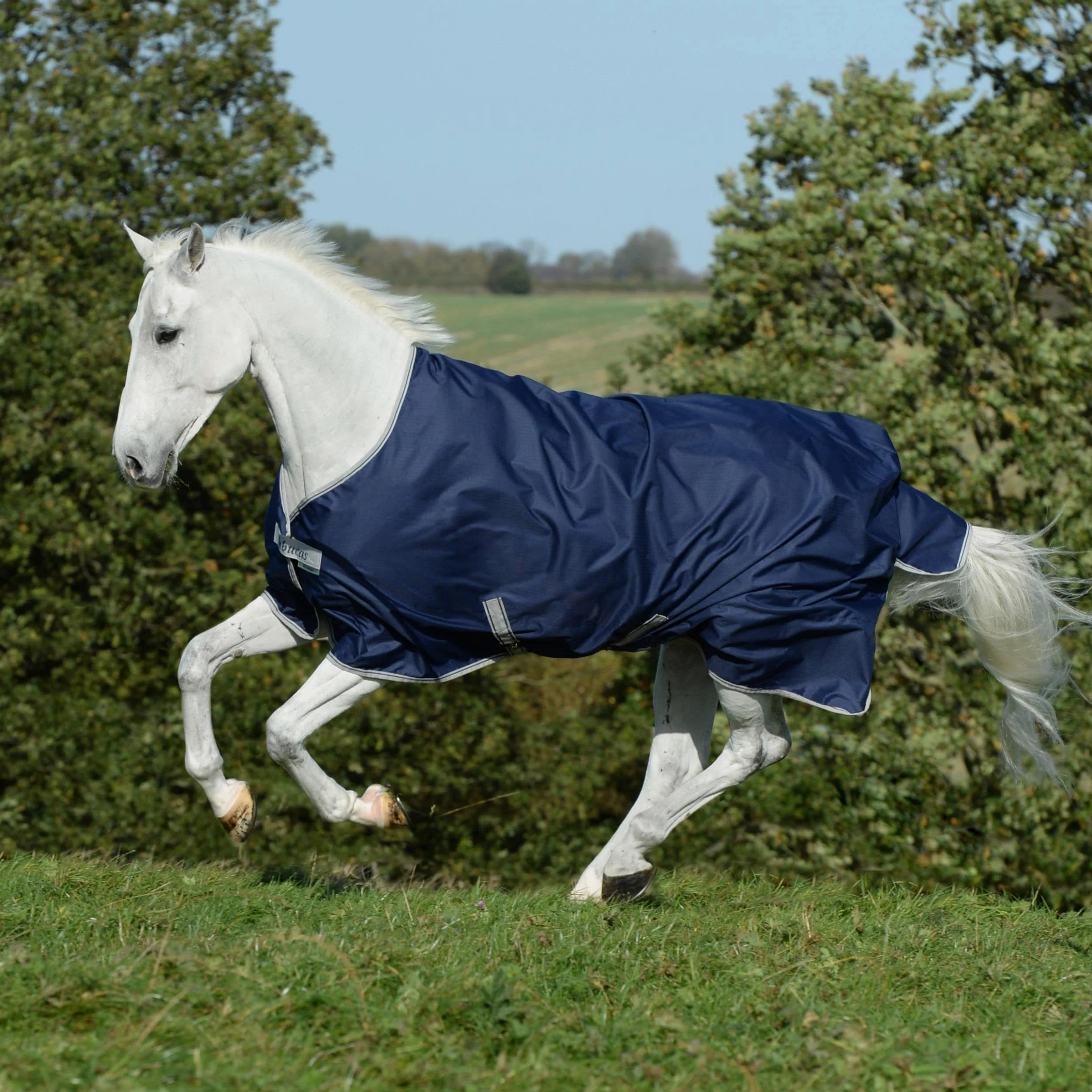 Bucas Freedom Turnout Pony Light, mantello per cavall – colore blu marino/argento, blu navy, 135