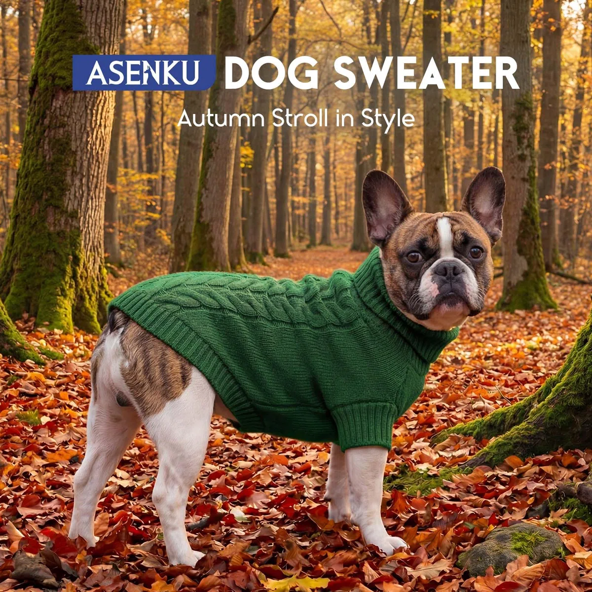 ASENKU Maglione Invernale Cane Felpa per Cani di Taglia Media, Maglioncino Cane con Collo Alto Abbigliamento Cappotto Pullover M