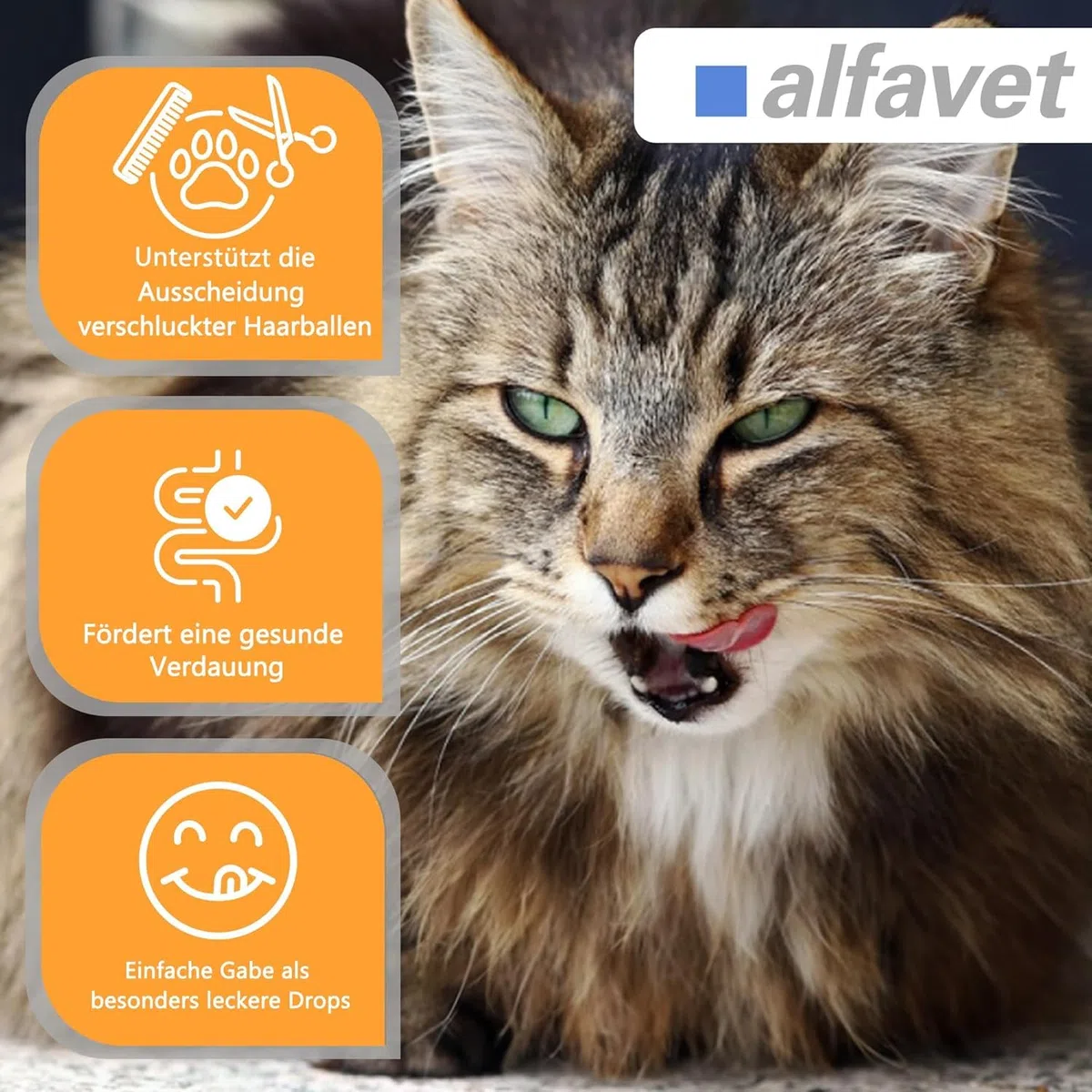 Alfavet FeliGum Hairball (40 g) – alimento complementare per gatti – chew drops morbidi per supportare l’eliminazione dei boli di pelo – con fibre e minerali