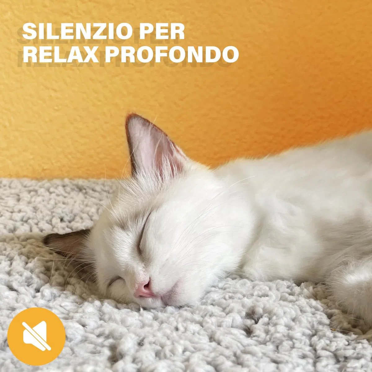 Mora Pets Tappetino riscaldante gatto Coperta autoriscaldante Cuscino per gatti e cani Tappeto riscaldante Senza elettricità e batterie Coperta termica Rimovibile e Lavabile 61 x 45 cm