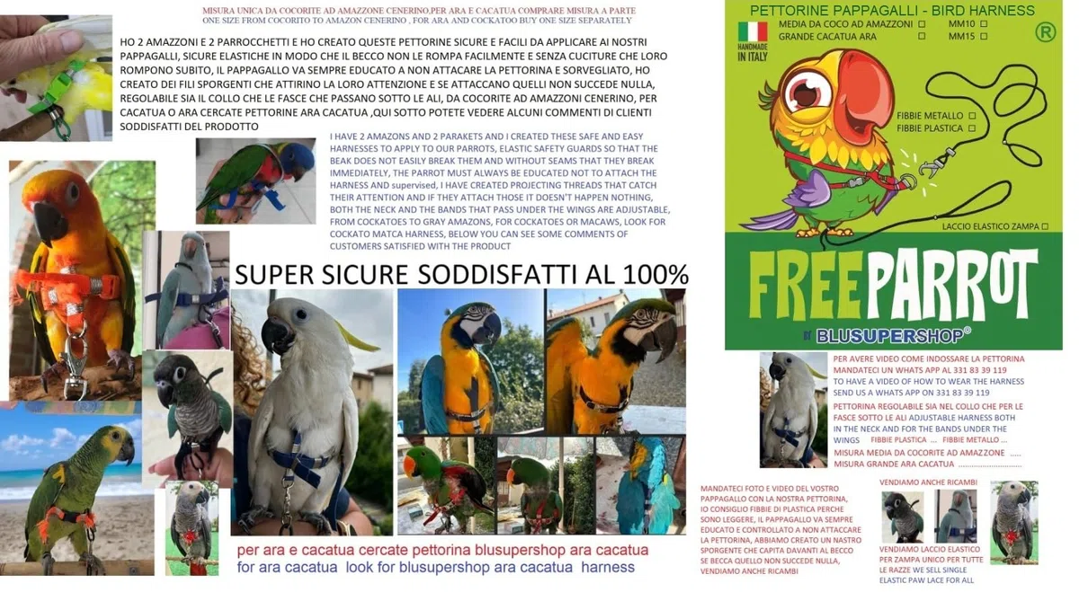 PETTORINA PAPPAGALLI PARROCCHETTO DAL COLLARE corda 3mm elastica nera al collo, fasce nastro 10mm, 2 attacchi,ACCIAIO SGANCIABILI REGOLABILI con GUINZAGLIO 1M xtutte le razze + amuleto