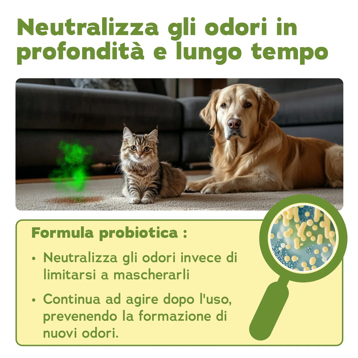 Bio-Chem - Detergente enzimatico concentrato 1L + flacone di miscelazione - Combatte gli odori ostinati e le macchie - Azione probiotica naturale per tappeti, tessuti e superfici