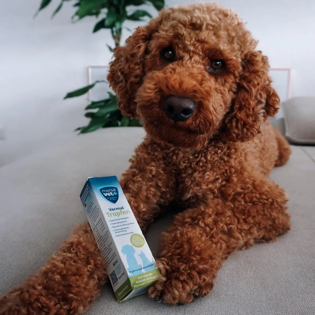 marsavet+ Vermal Gocce 50 ml – Soluzione Naturale per Ambiente Intestinale Sfavorevole ai Vermi, Aiuta Contro Giardia, Rimedio per Vermi e Parassiti Intestinali per Cani, Gatti e Roditori