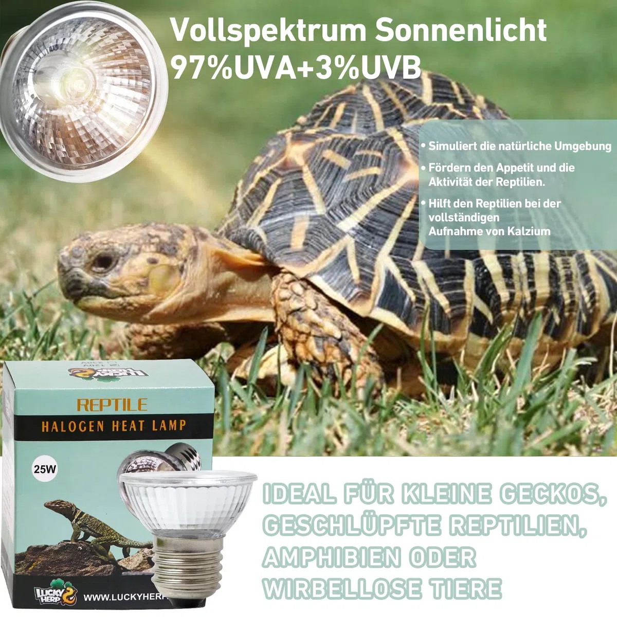 LUCKY HERP Lampada riscaldante per terrario, 25 W, 4 pezzi, UVA UVB, lampada alogena a tartaruga, E27 UVB Basking Spot lampada per tartaruga, barba, lucertole, serpenti