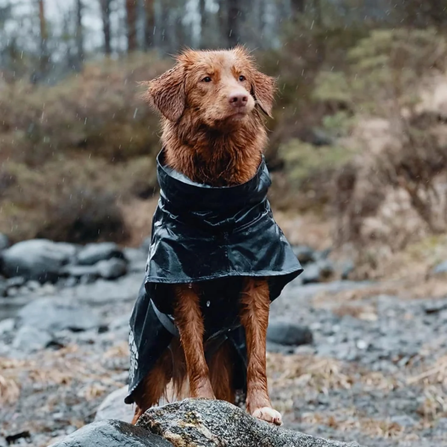 GIACCA VENTO E PIOGGIA MONSOON COAT MORA 30