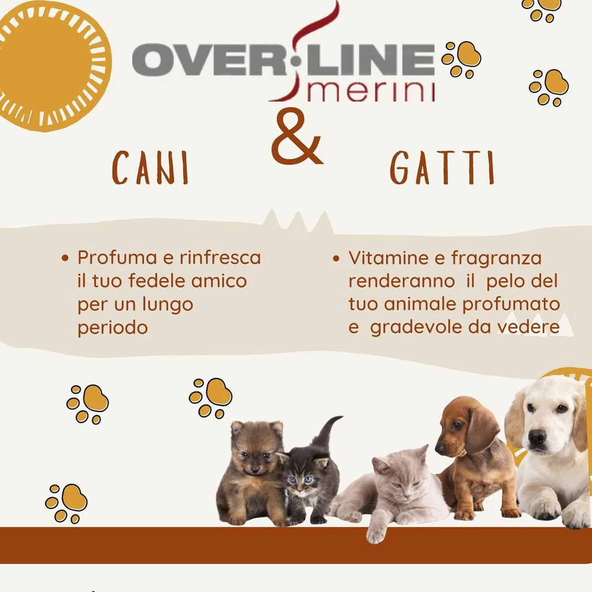 OVER LINE MERINI |Profumo per Cani Lunga Durata 100 ml – Deodorante Cane che Elimina gli Odori – Fragranza Dolce e Raffinata – Pelo Fresco e Profumato – Made in Italy