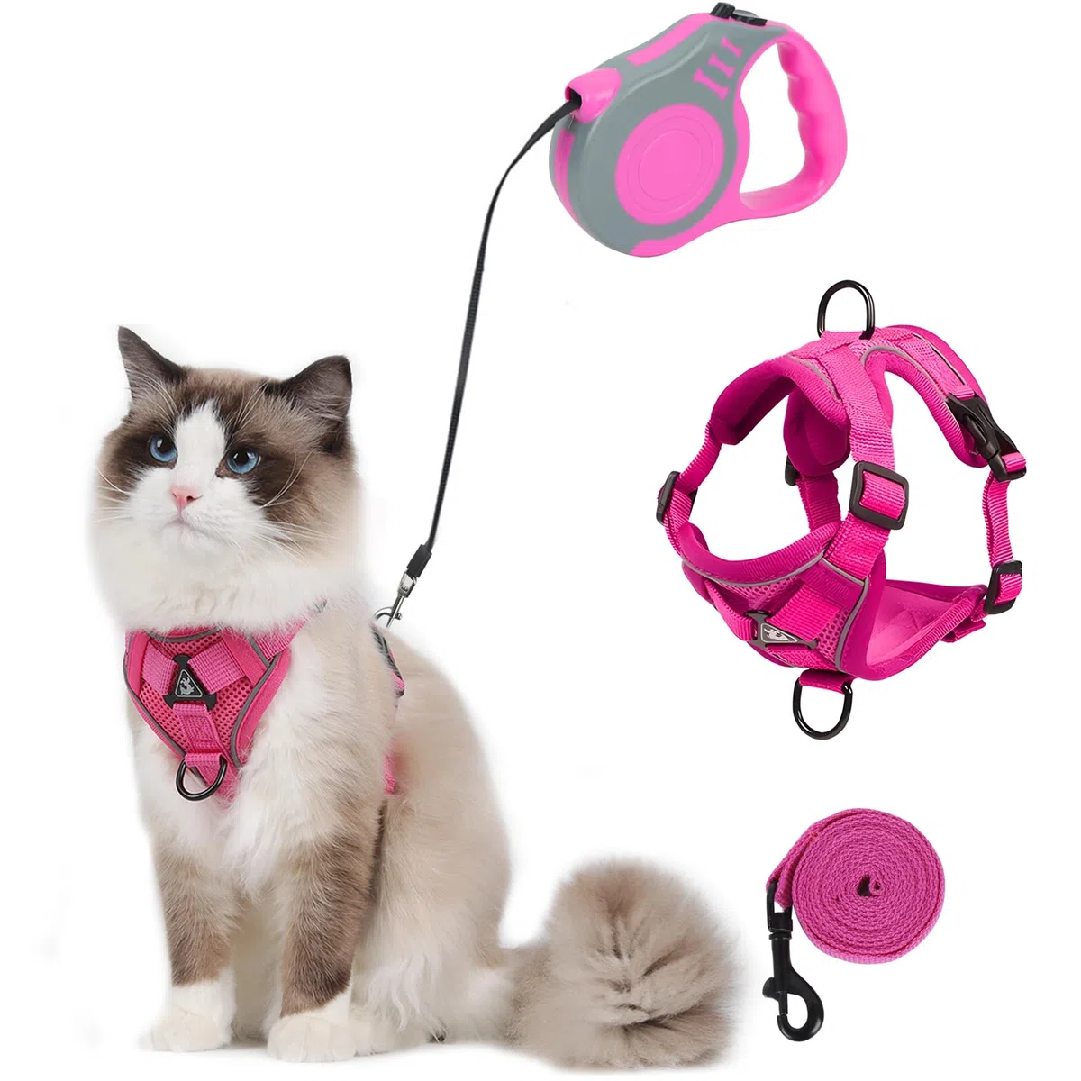 Pettorina Gatto con Guinzaglio per Gatti Allungabile, Antifuga Pettorina per Gatti, 2 Guinzaglio Gatto 500cm & 150cm, Regolabile Pettorina Cane per Gatti e Cani Di Piccola Taglia Grigio S