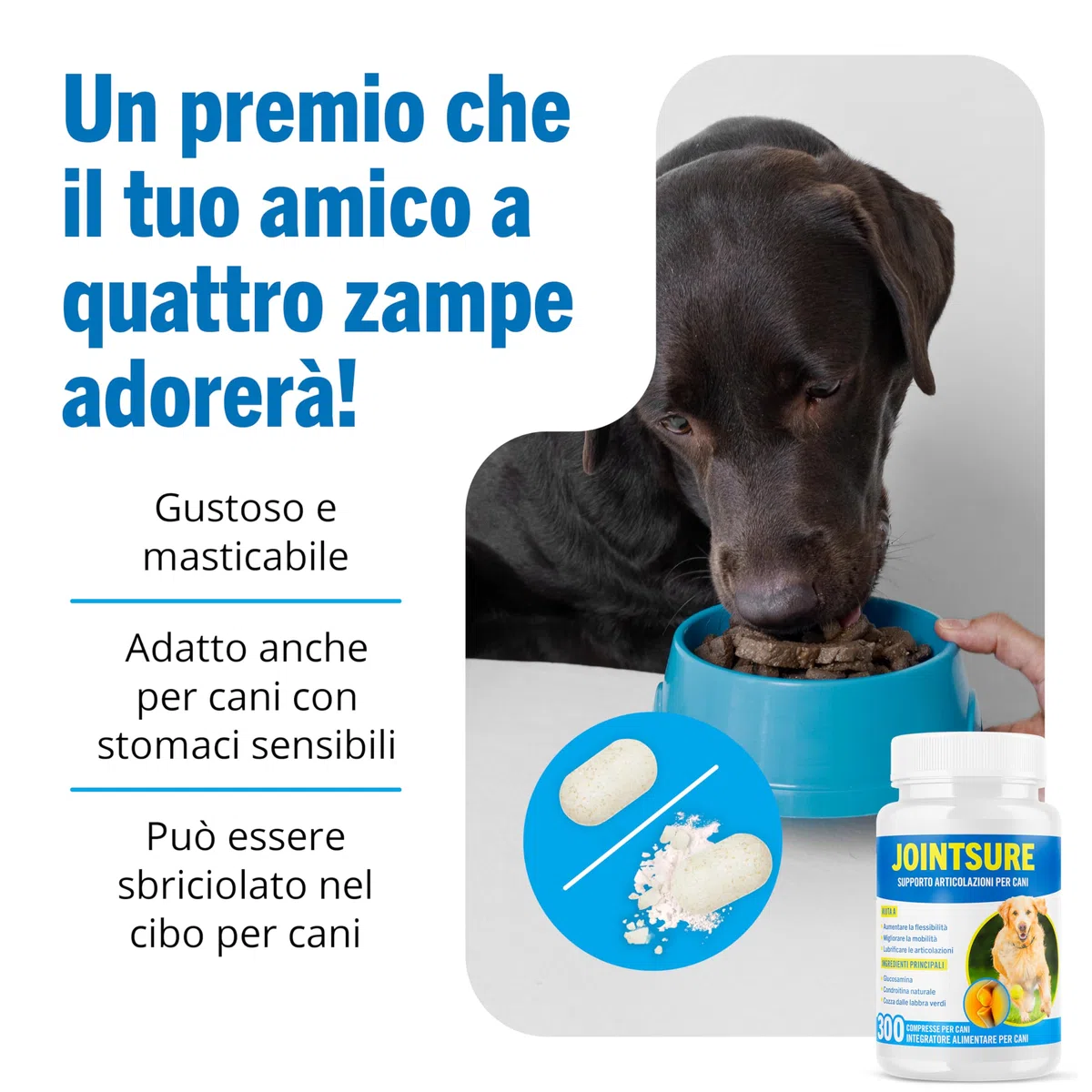 JOINTSURE Integratori per Cani Articolazioni 120 Compresse | Supporta la Mobilità e le Articolazioni di Cani Anziani e Adulti | Condoprotettori con Glucosamina, Condroitina, Cozza Verde