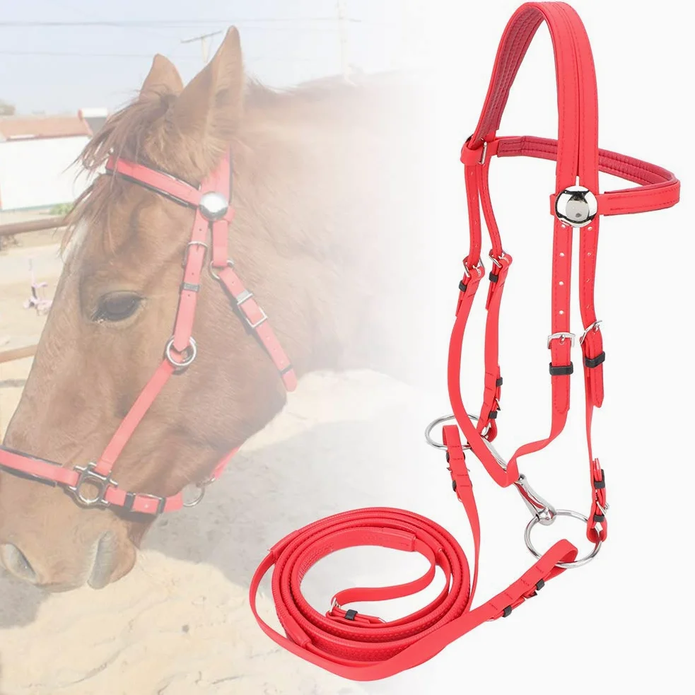 Qcwwy Briglia per Cavallo in PVC, Testiera per Imbracatura per Cavallo Regolabile Antiruggine con Filetto Cavo Rimovibile in Acciaio Inossidabile Attrezzatura Equestre Adatta per