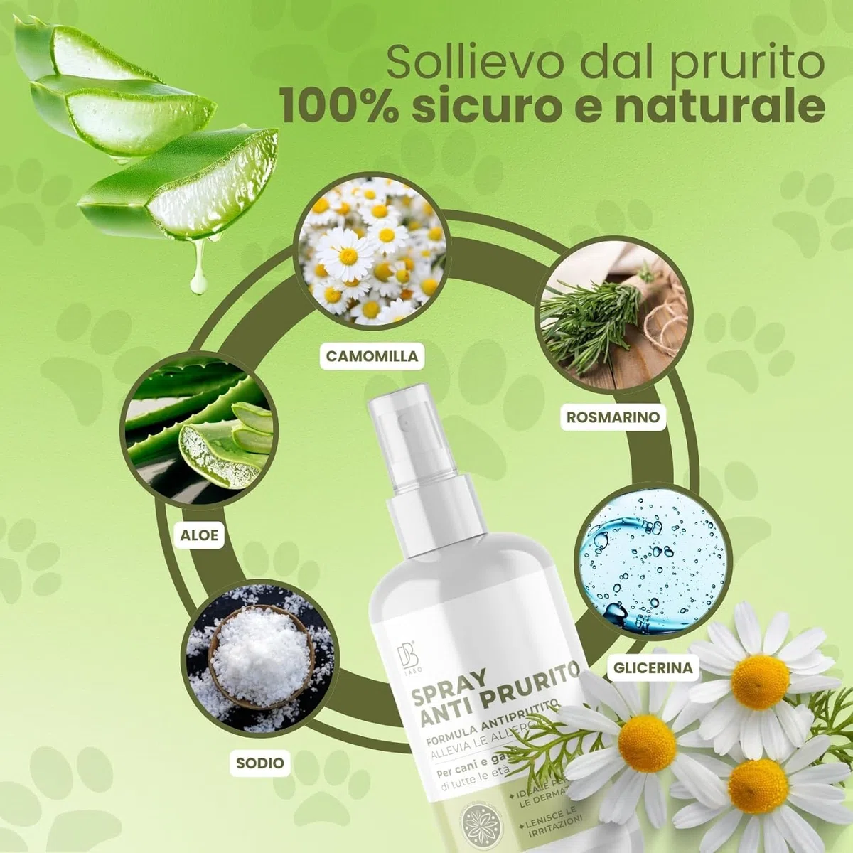 Spray Anti Prurito per Cani e Gatti 250ml | Lenisce Fastidio, Prurito e Dermatite Cane e Gatto | Formula Naturale a Base di Aloe Vera, Camomilla e Rosmarino | Sicuro, Vegan per Tutte Le età
