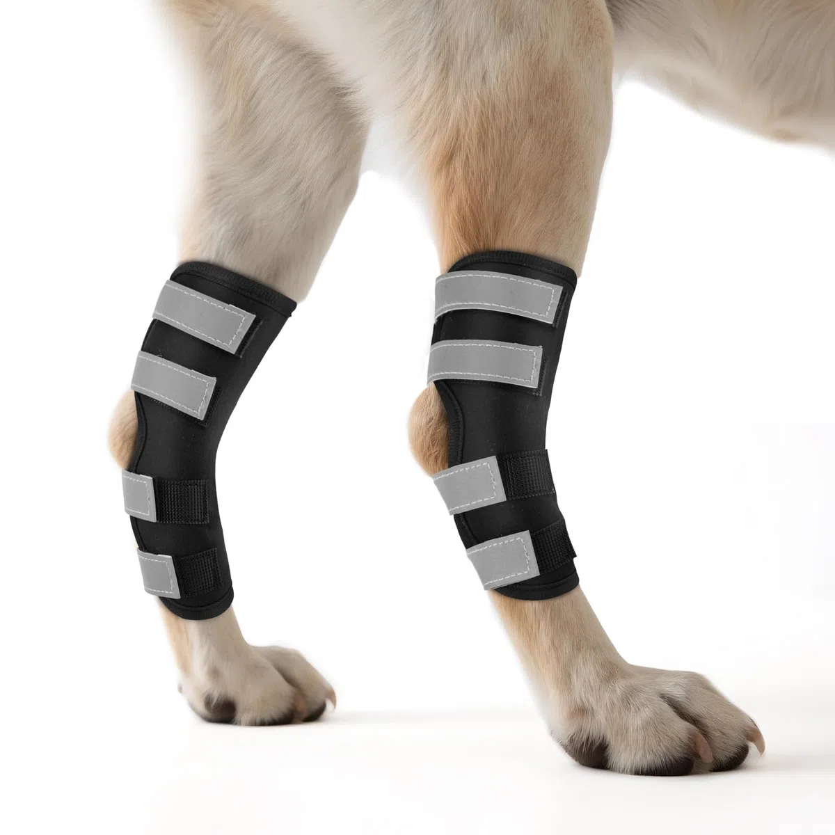OHCOZZY Ginocchiera per Cani 2 Pezzi con Cinturini Riflettenti，Anti-Leccamento Tutore per Zampe Posteriori del Cane Che Fornisce Supporto Articolare per la Guarigione di Ferite e Distorsioni,S