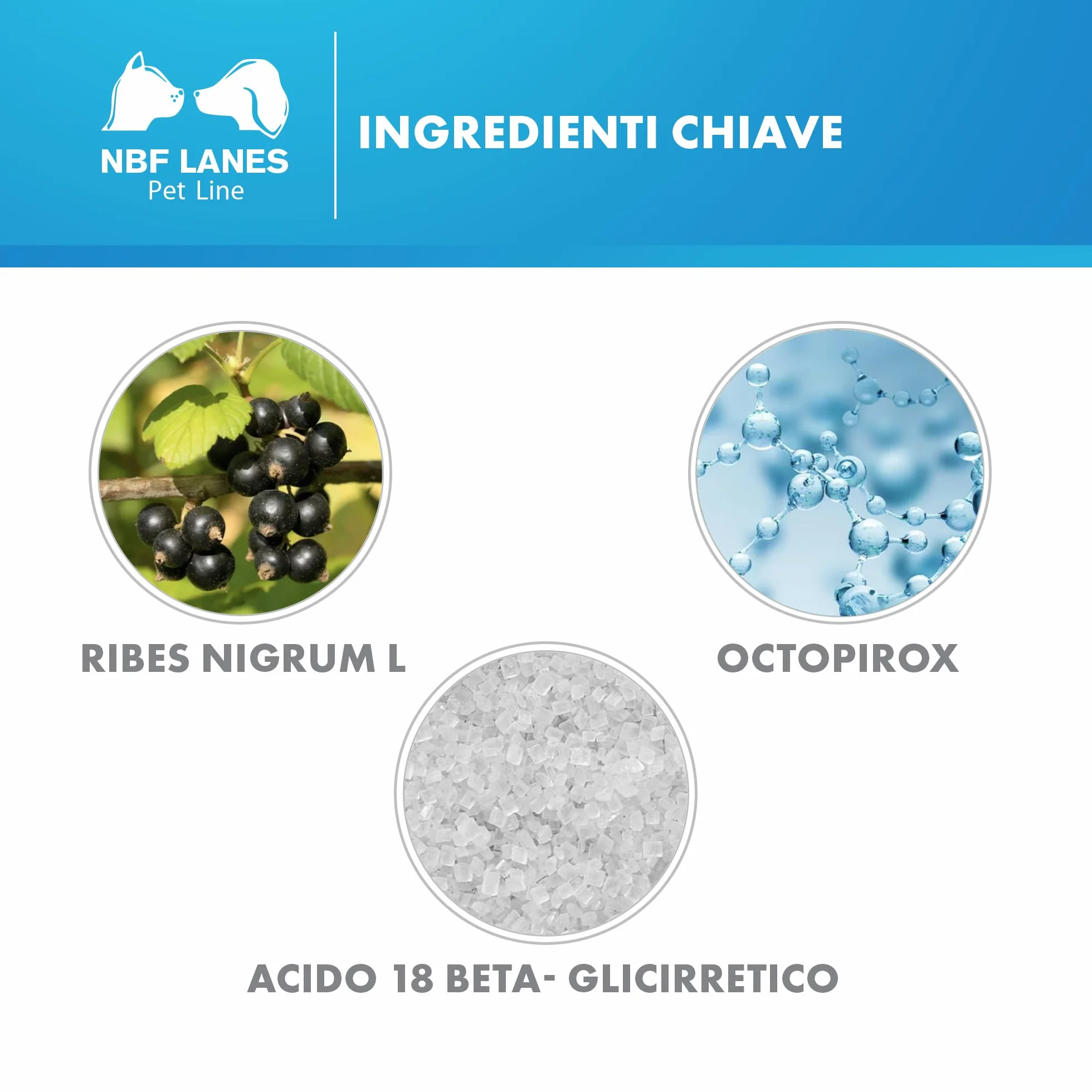 NBF Lanes | Ribes Pet Shampoo Balsamo Dermatologico Cane e Gatto 200 ml, per la Protezione di Pelo e Cute, pH 6,5, Ristrutturante, Riequilibrante