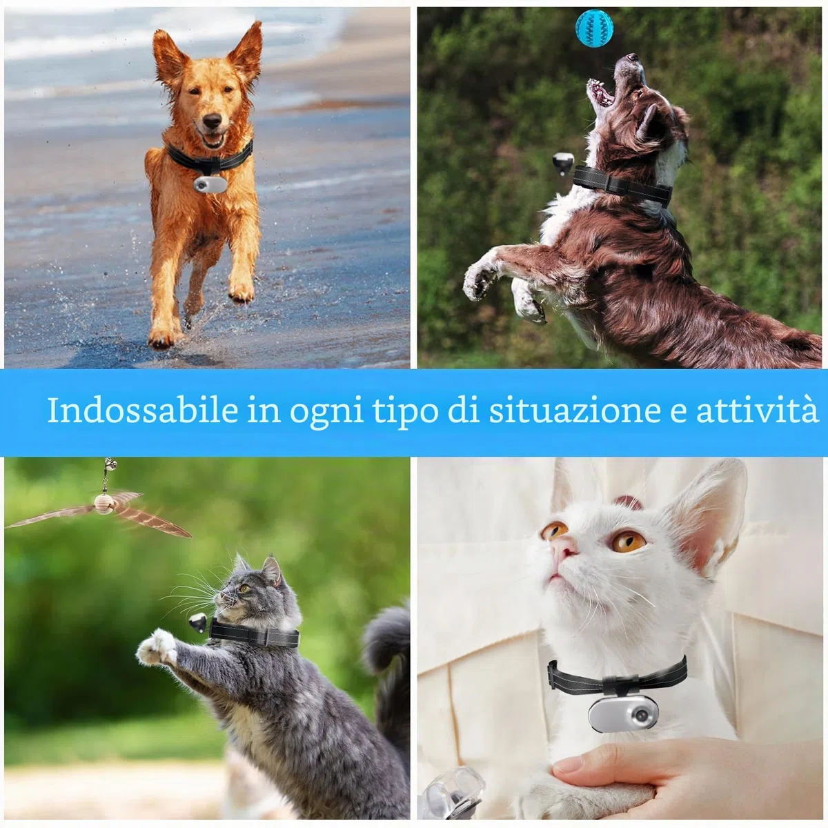 HD 1080P Cat Camera Collare con Registrazione Video, Mini Macchina Fotografica Wireless Sportiva, Piccole Telecamere di Azione, Corpo Camera per Pet Supplies, Articoli per