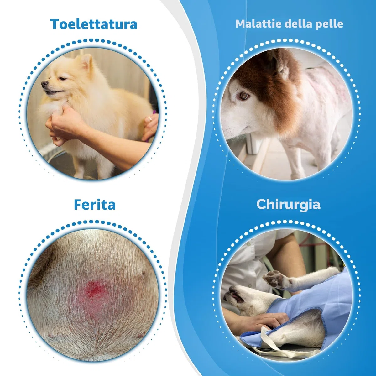 Collare Elisabettiano Cane Morbido, Collare a Cono Traspirante per Cani, Collare Protettivo e Regolabile per Cani e Gatti, Protettivo per Recupero Postoperatorio, Collare Anti Morso o Leccato (Size 8)