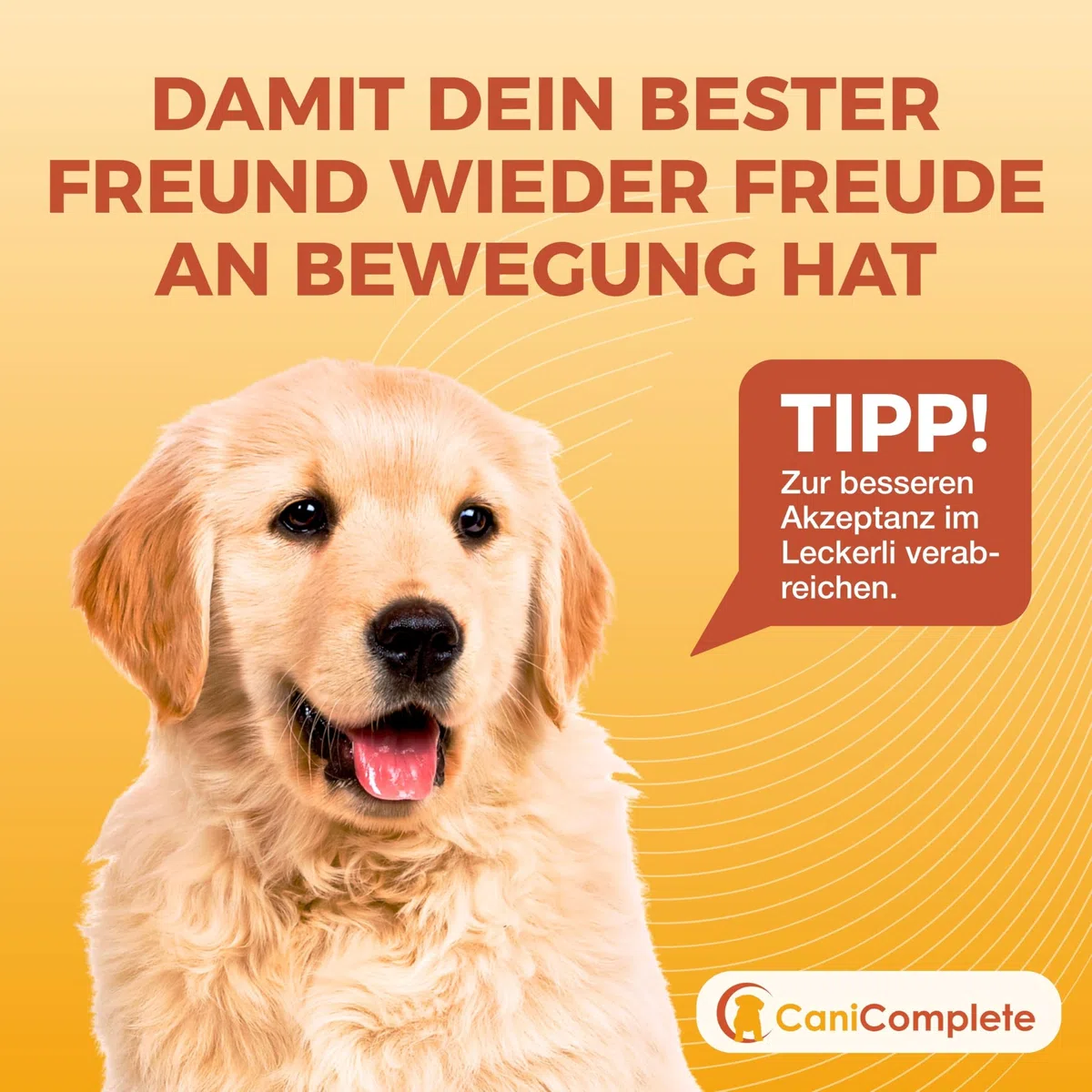 Complesso vitaminico B per cani, gatti, B1, B2, B3, B5, B6, B9, B12, K3, calcio, acido folico. Supporta funzioni nervose importanti. 120 pezzi (confezione 4 mesi)