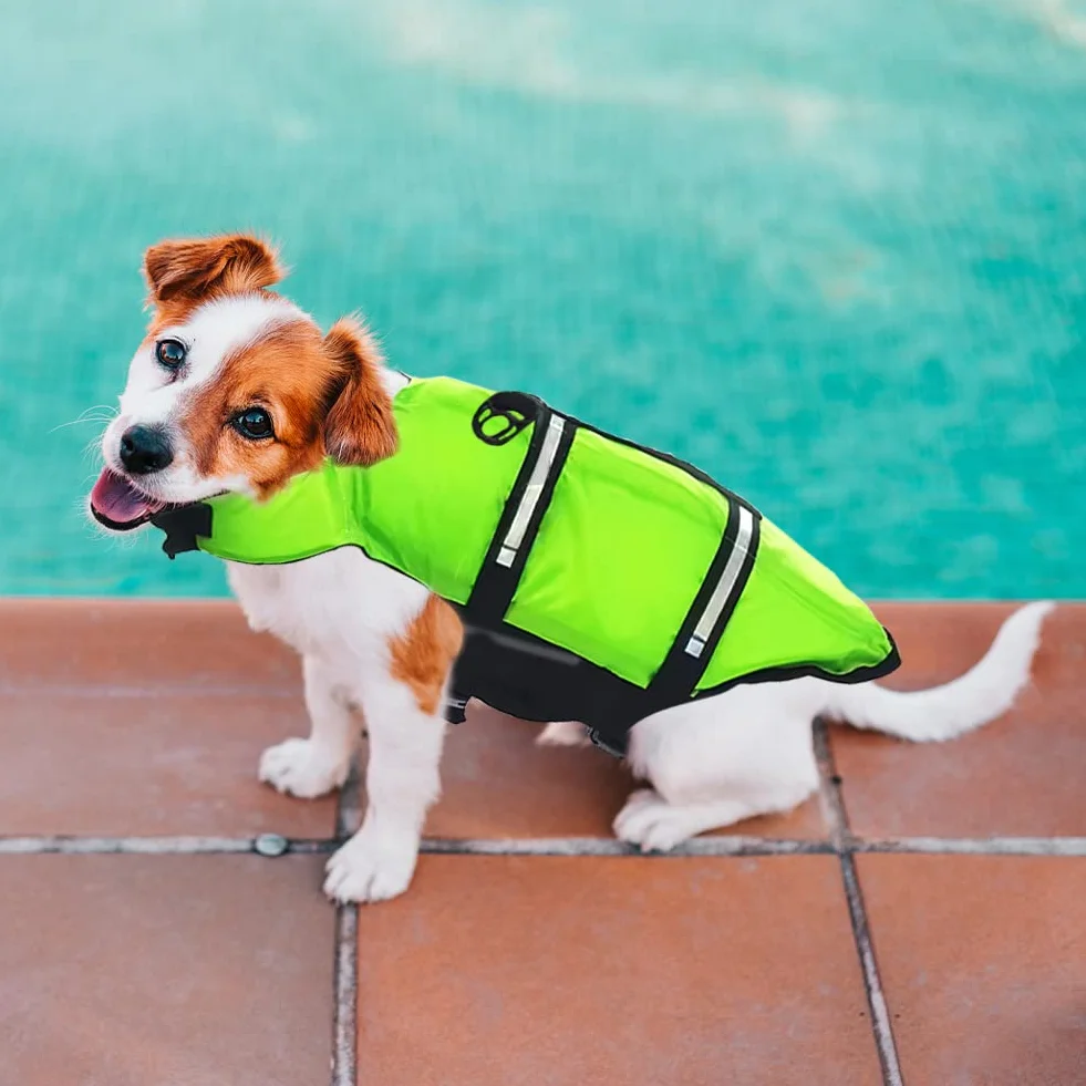 Giubbotto di salvataggio per cani, piccolo, per cani con forte galleggiamento per il salvataggio di emergenza (verde M)