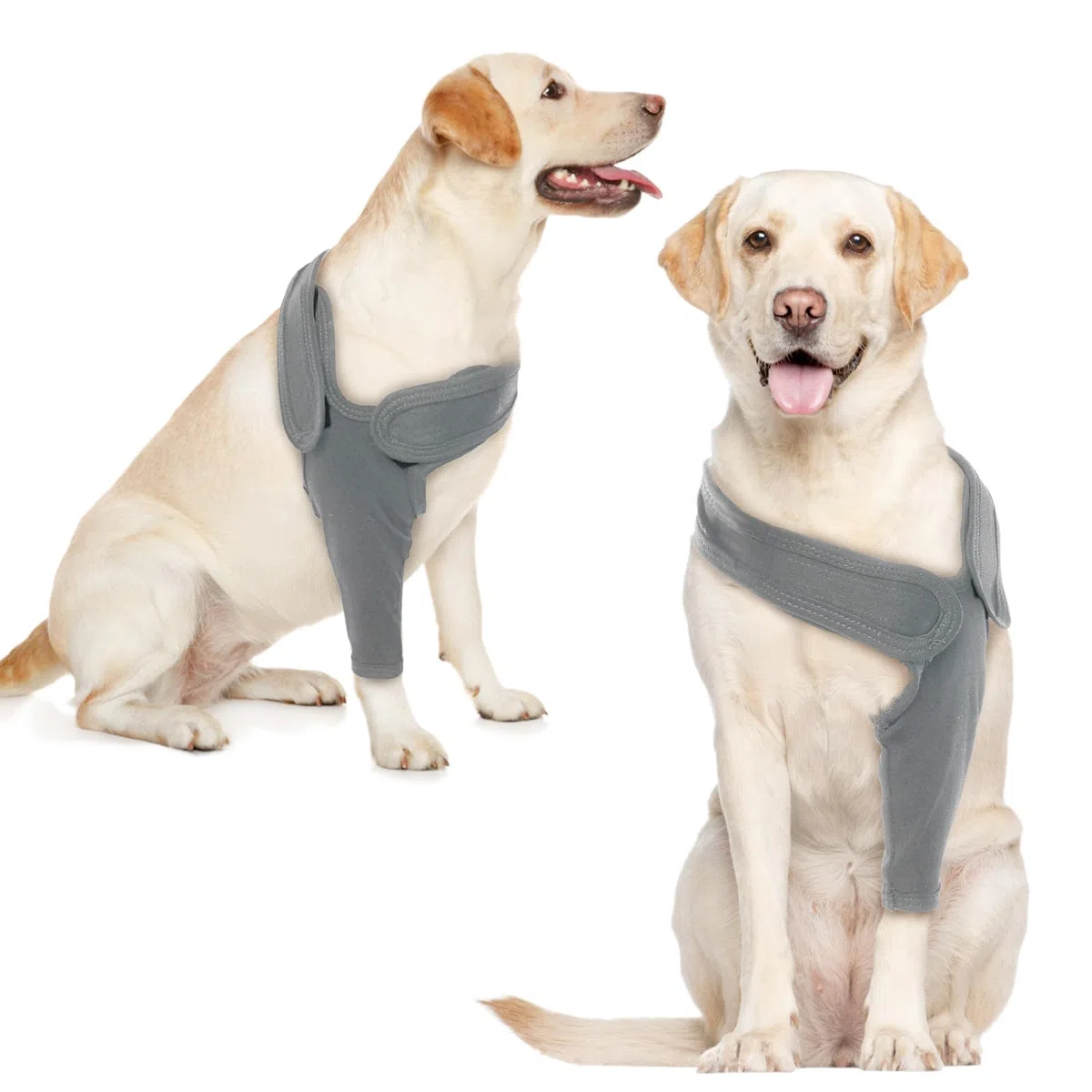 Gilet di recupero per chirurgia canina anteriore - destro - gamba sinistra - protezione - gomito, Grigio, XL