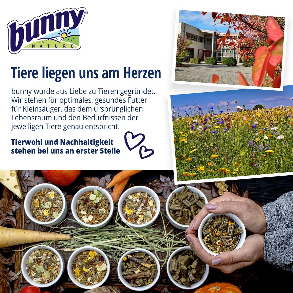 Bunny Bedding Lettiera Linum