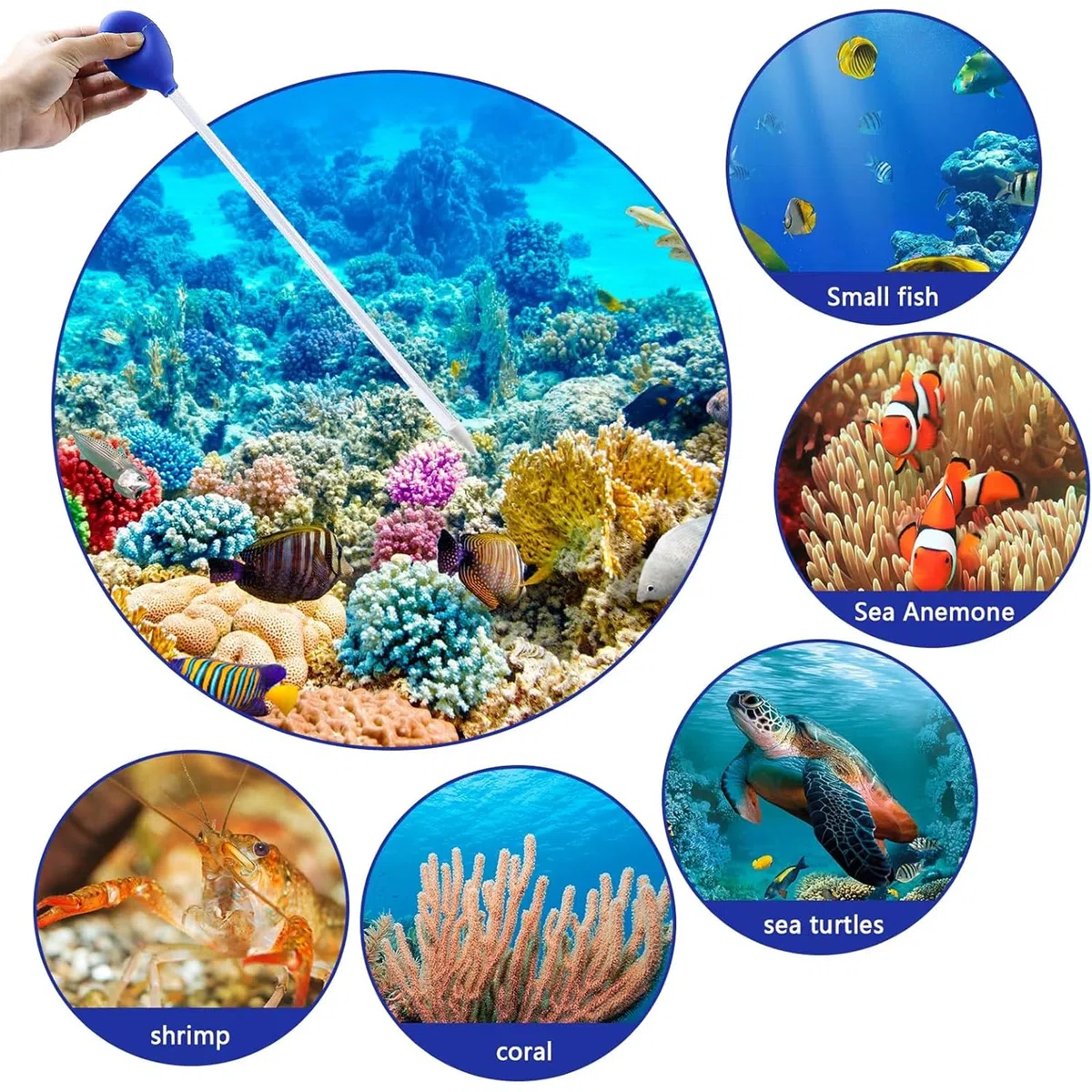 2 Pezzi Sifone Acquario, Pompa Acqua Manuale, Coral Feeder, Riutilizzabile, Cambia Acqua per Acquari, Accessori Acquario per La Pulizia Dell'acquario, L'alimentazione (45 CM)