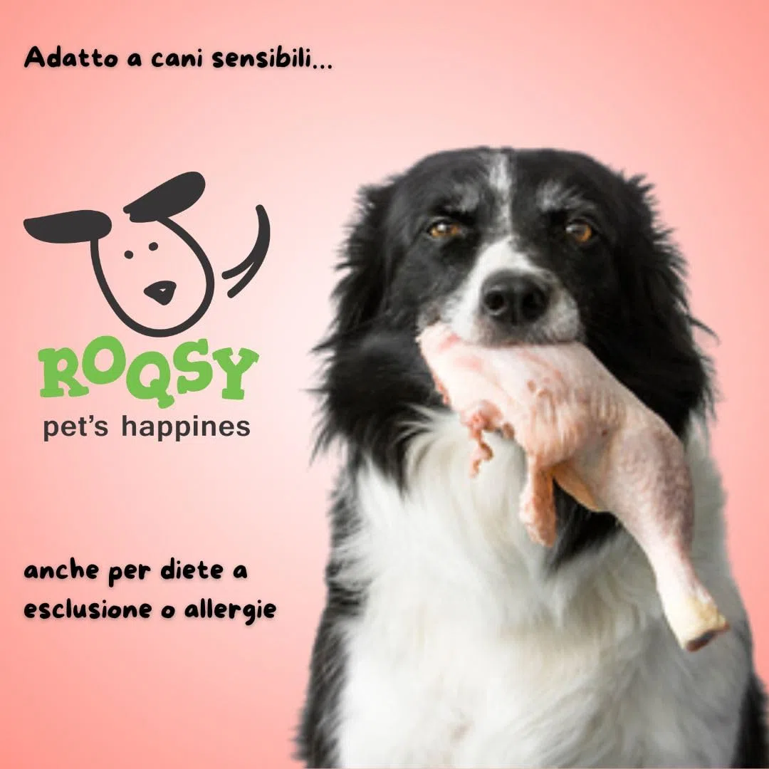 Snack Naturale per Cani 100% Capra – Monoproteico, Ipoallergenico, Senza Cereali – 200g (2×100g)