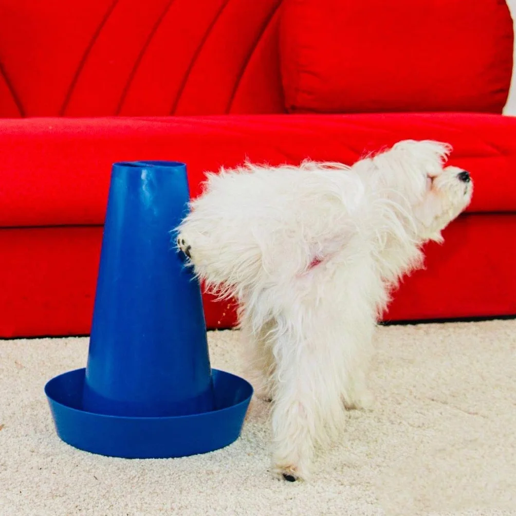 PIPPI Cono Cane WC Vasino DogToilette Pet Lettiera Traversine Dogs Tappetini Colonna Orinatoio Animali Maschi Accessori Nuova Generazione Traversine tappetini BLU