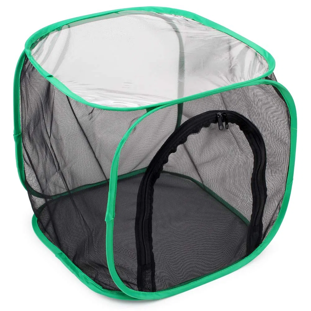 RESTCLOUD Insetto e Farfalla Habitat Cage Terrarium Pop-up 32 x 30 x 30 cm