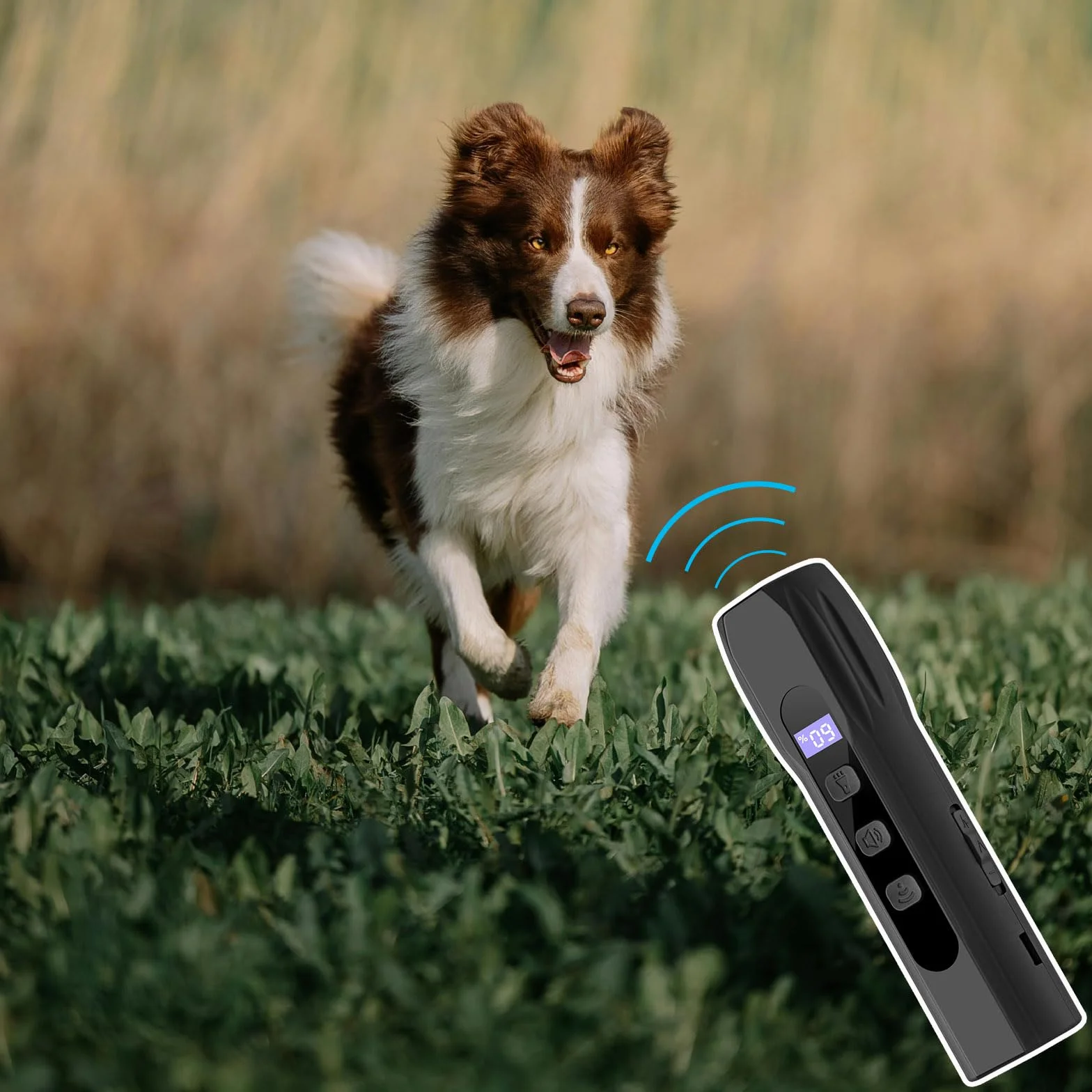 dispositivo a ultrasuoni per cani con luce LED, dispositivo anti-abbaio manuale, addestramento comportamentale a 3 frequenze, segnale acustico lungo e duraturo, pulsante per cani, uso interno