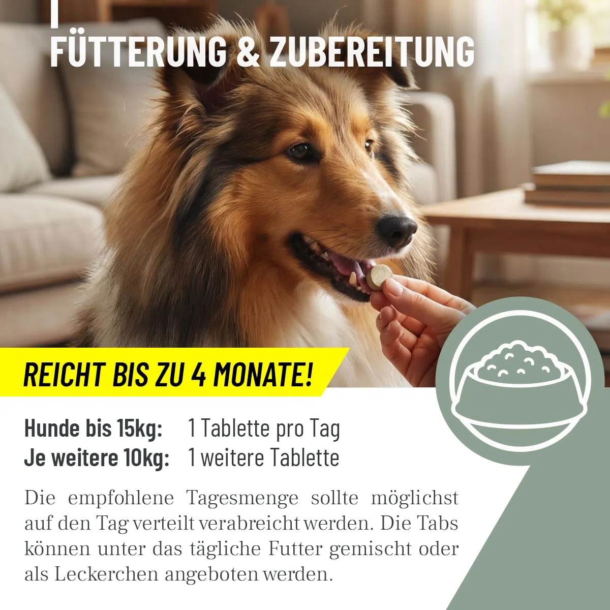 ReaVET 120 compresse di zinco per cani – ad alto dosaggio con vitamina C & E, compresse di zinco Plus vitamine per pelle secca, perdita di capelli, zinco cane per artigli e pellicce