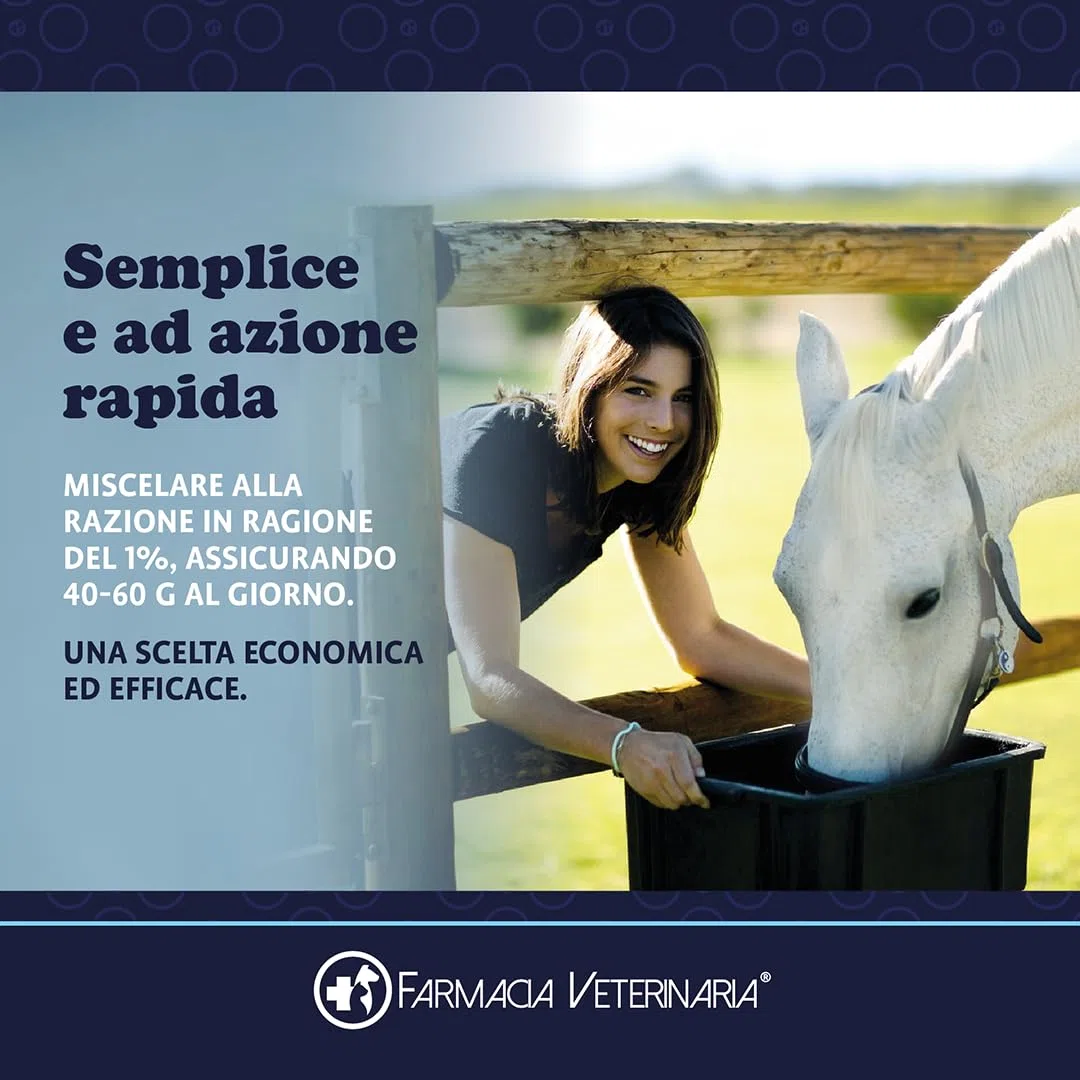 Farmacia Veterinaria Active Horse Probiotici e Vitamine. Rafforza le Difese Immunitarie e Previene Problemi Gastrointestinali. Potenzia il Metabolismo. Previene le Coliche Integratore per Cavalli 1Kg