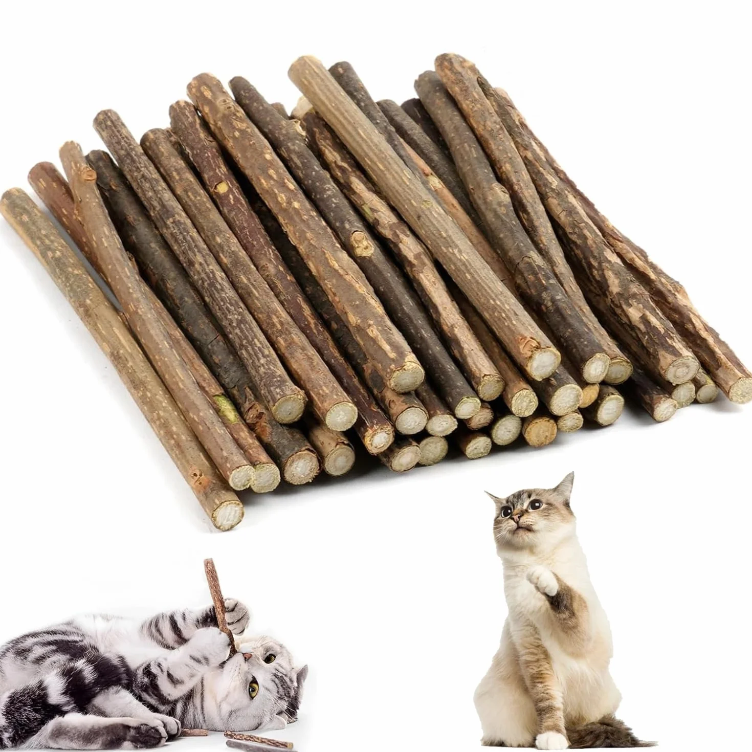 Set di 32 bastoncini per legno da masticare, per gatti, per la cura dei denti e contro l'alito cattivo, naturali e sicuri, bastoncini da masticare