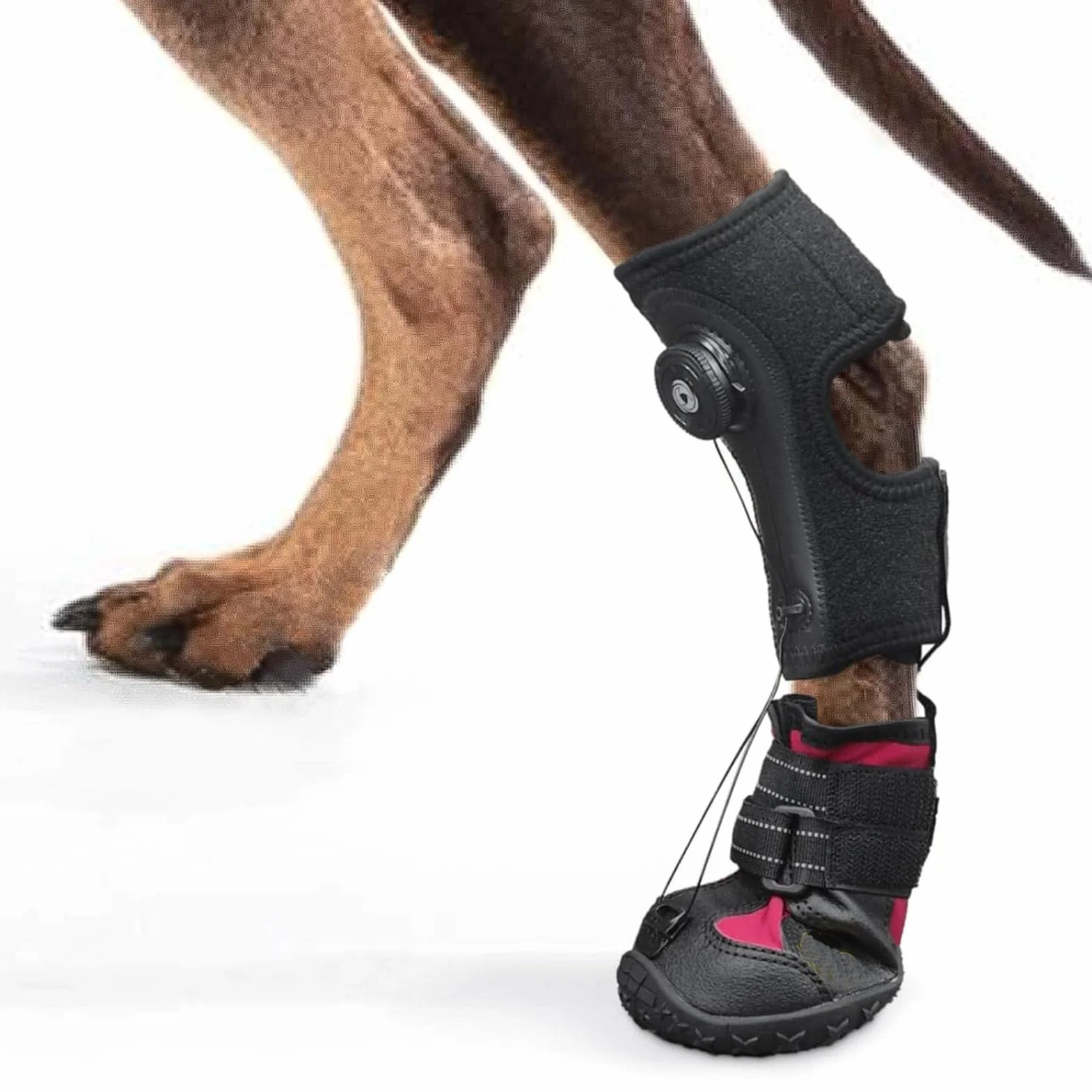 Tutore per Piede Cadente per Cani, Tutore per Gamba per Stivale per Cane per Supporto Gamba, Scarpe Correttive per Cani per Sollevare in Sicurezza le Dita dei Piedi per Problemi (L)