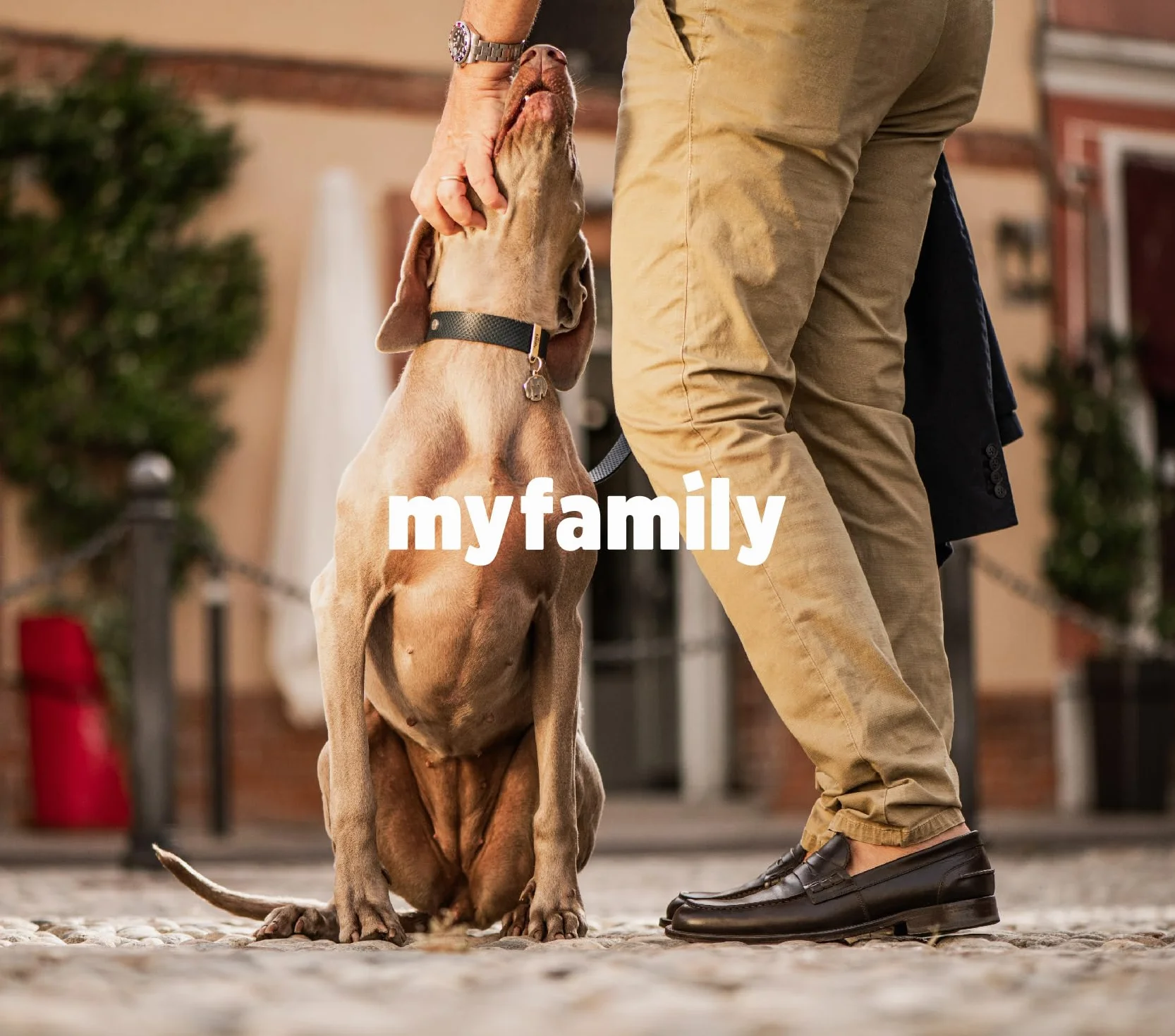 MyFamily Medaglietta per Cane Personalizzata Made in Italy, Osso Grande, Targhetta Cane con Incisione Gratis, Smaltata a Mano in Metallo, Collezione Rainbow