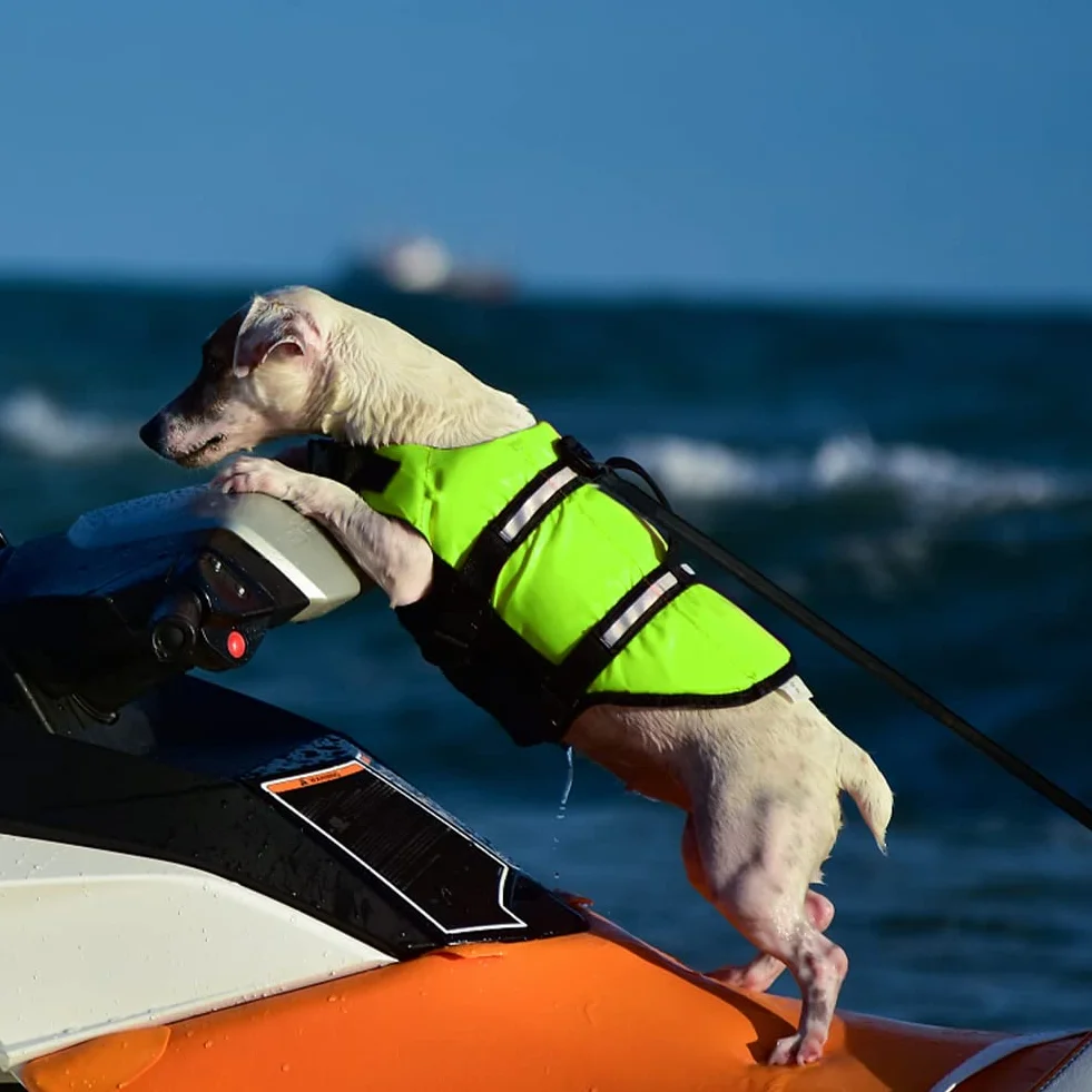 Giubbotto di salvataggio per cani, piccolo, per cani con forte galleggiamento per il salvataggio di emergenza (verde M)