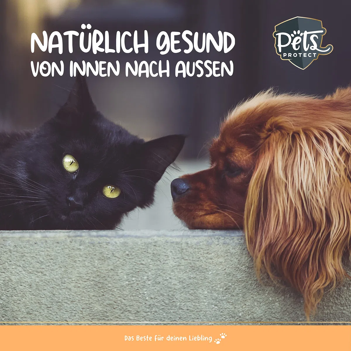 Omega-3 capsule per cani e gatti | ad alto dosaggio con 1.000 mg di olio di pesce puro per capsula | Alto contenuto di acidi grassi EPA e DHA | Senza PCB | Senza additivi, 120 capsule | Produzione