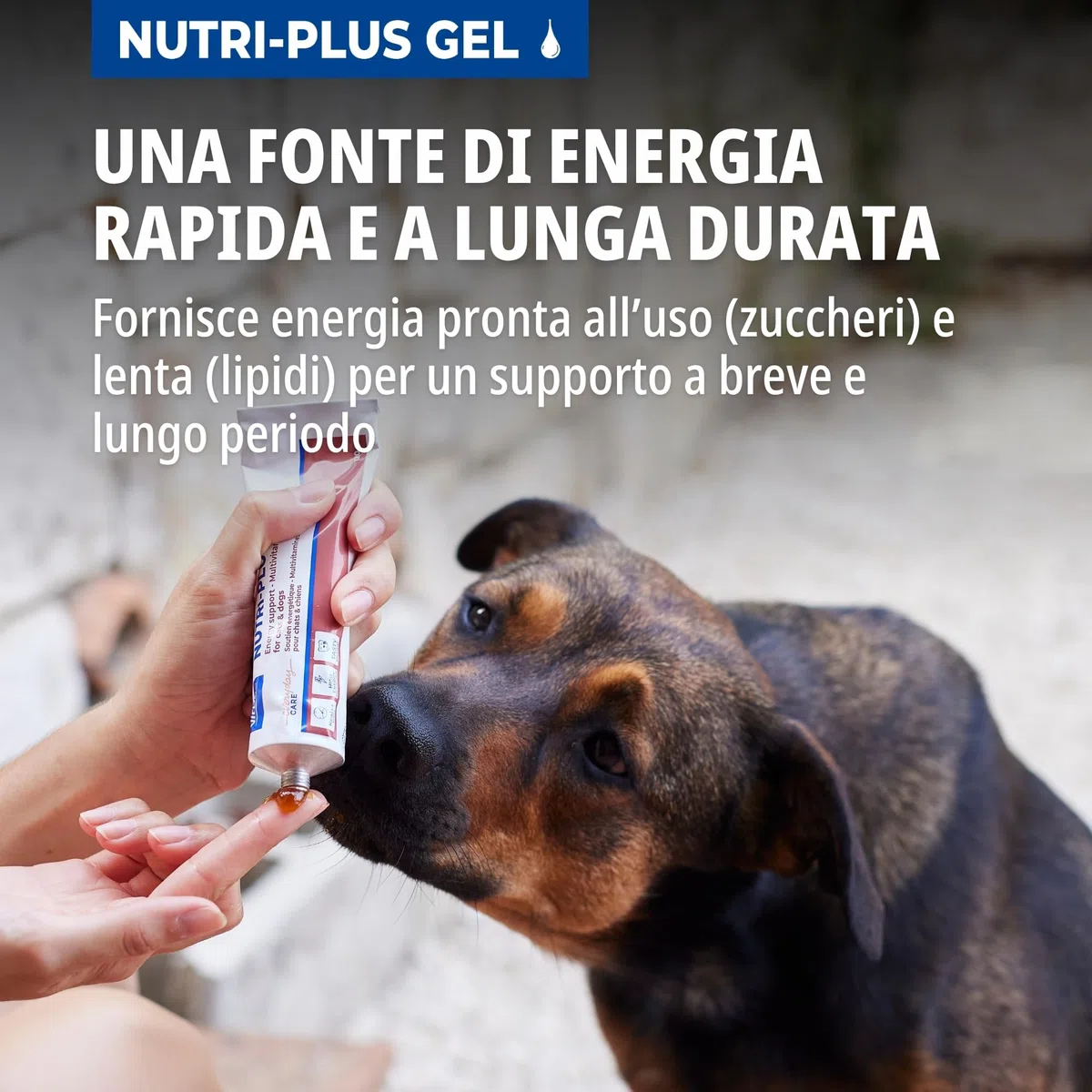Virbac Nutri-Plus Gel | 120 g | Alimento complementare per cani e gatti per l'integrazione nutrizionale e la convalescenza | Stimolante dell'appetito, vettore energetico altamente concentrato