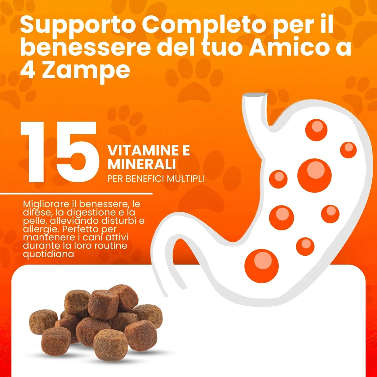 Db Labo Multivitaminico Cane 200 Bocconcini Per Facile Assunzione - Integratori per Cani Completi - 15 Vitamine per Cani e Minerali Essenziali - Integratori per Cane Pelle e Pelo, Sistema Immunitario