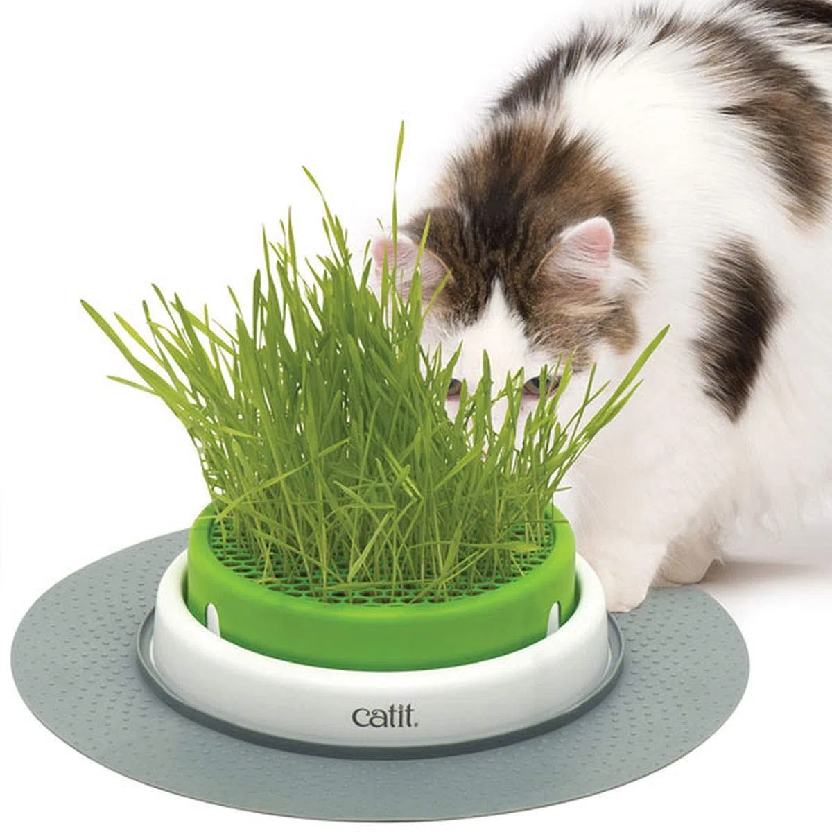 Catit Senses Grass Planter - Vaso per Erba