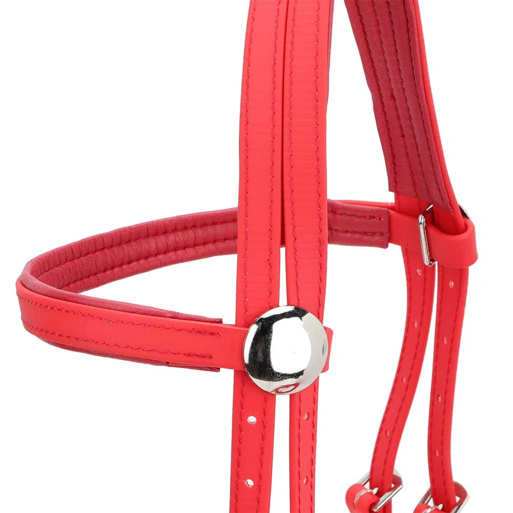Qcwwy Briglia per Cavallo in PVC, Testiera per Imbracatura per Cavallo Regolabile Antiruggine con Filetto Cavo Rimovibile in Acciaio Inossidabile Attrezzatura Equestre Adatta per